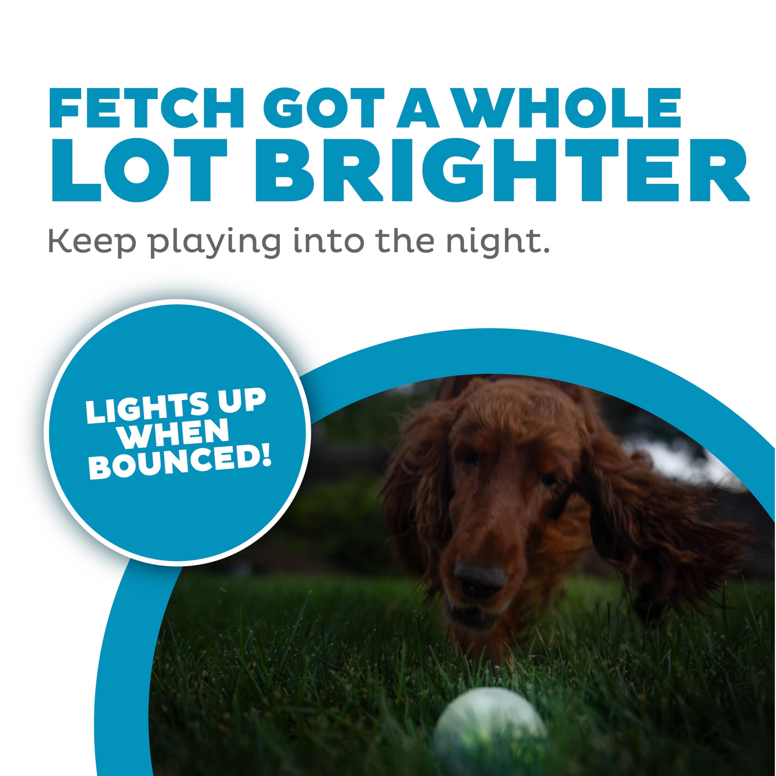 Outward Hound By Planet Dog Strobe Light Up Led Ball Dog Toy, Green