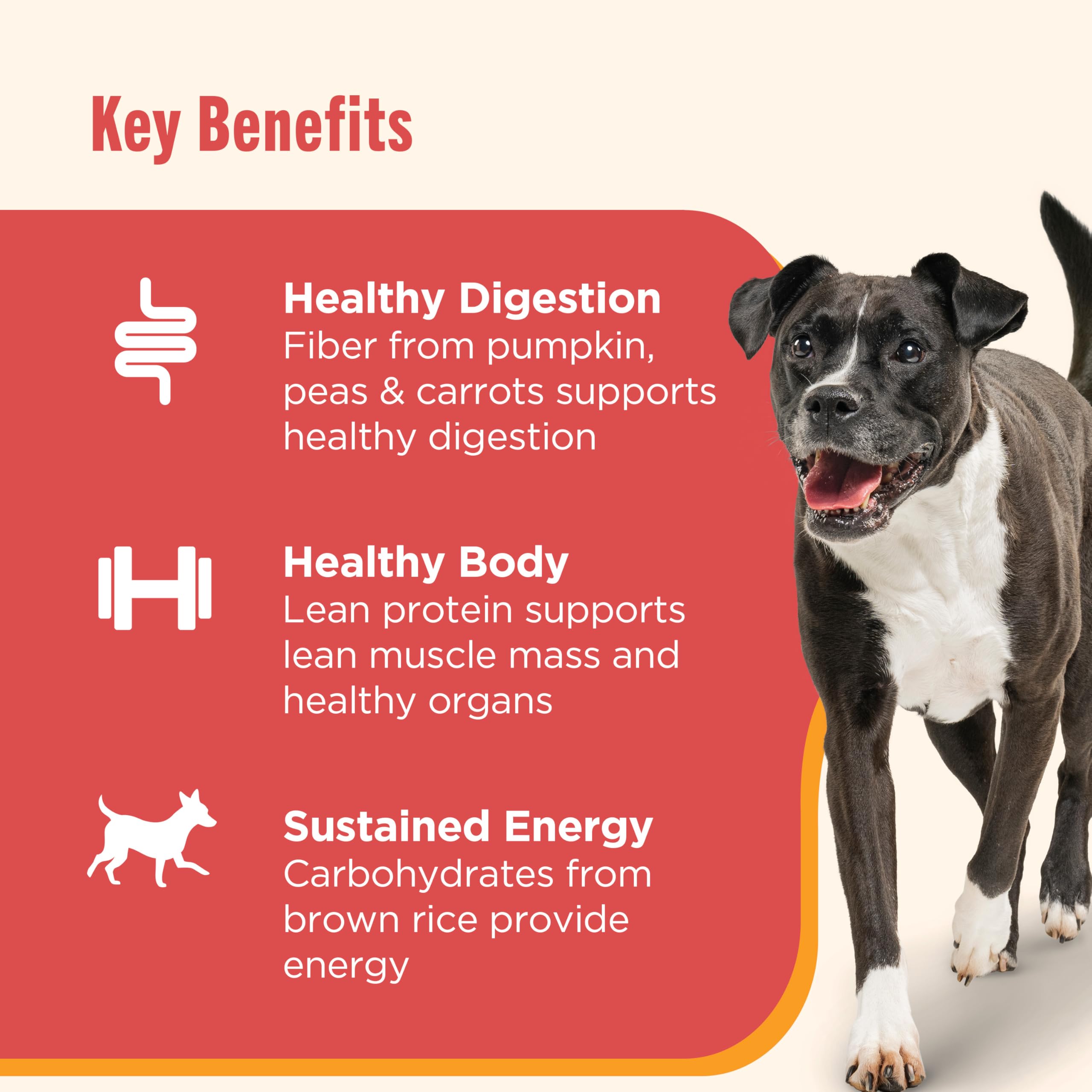 Nutrish Gentle Digestion Premium Pat   and Chunks in Gravy Variety Pack Wet Dog Food, 13 oz. Can, 12 Count (Rachael Ray)
