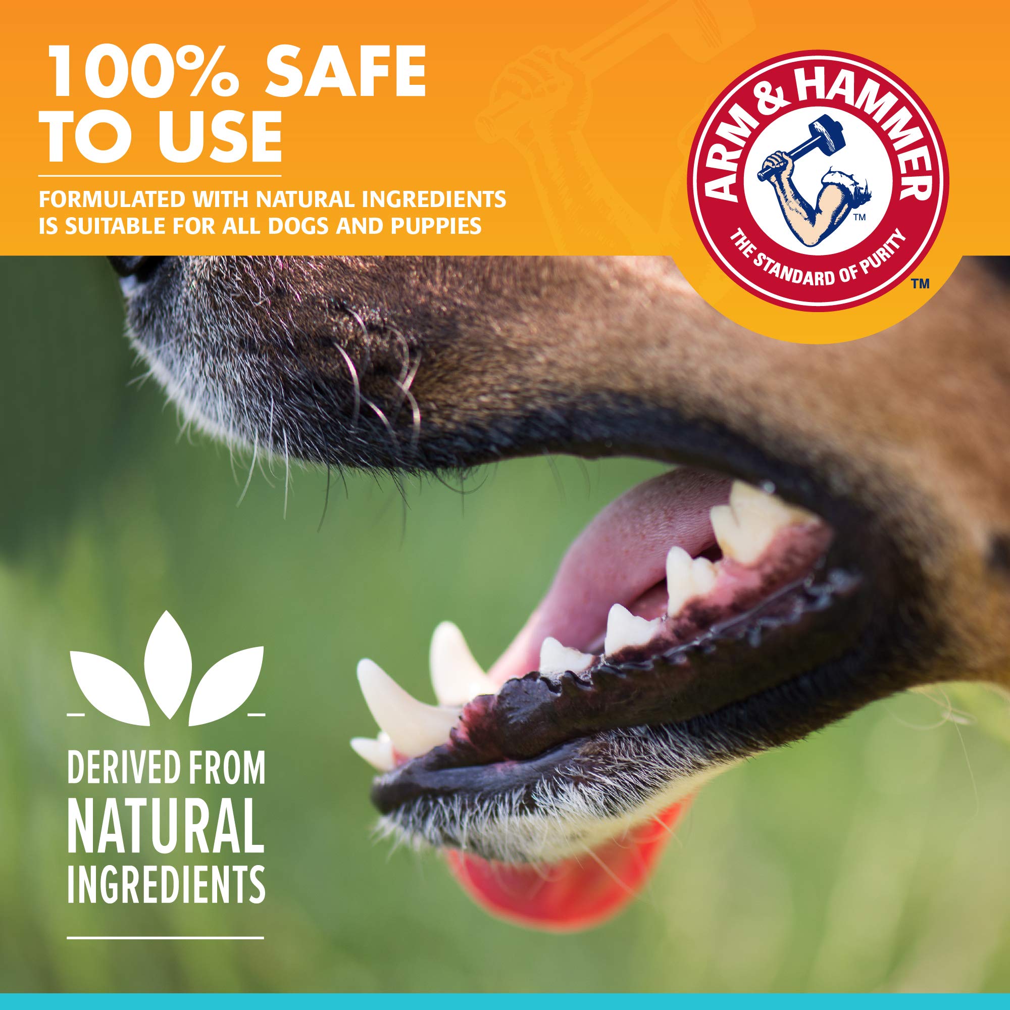 Arm & Hammer for Pets Dental Enzymatic Toothpaste for Dogs | No More Doggie Breath | Dog Toothpaste Safe for All Dogs and Puppie