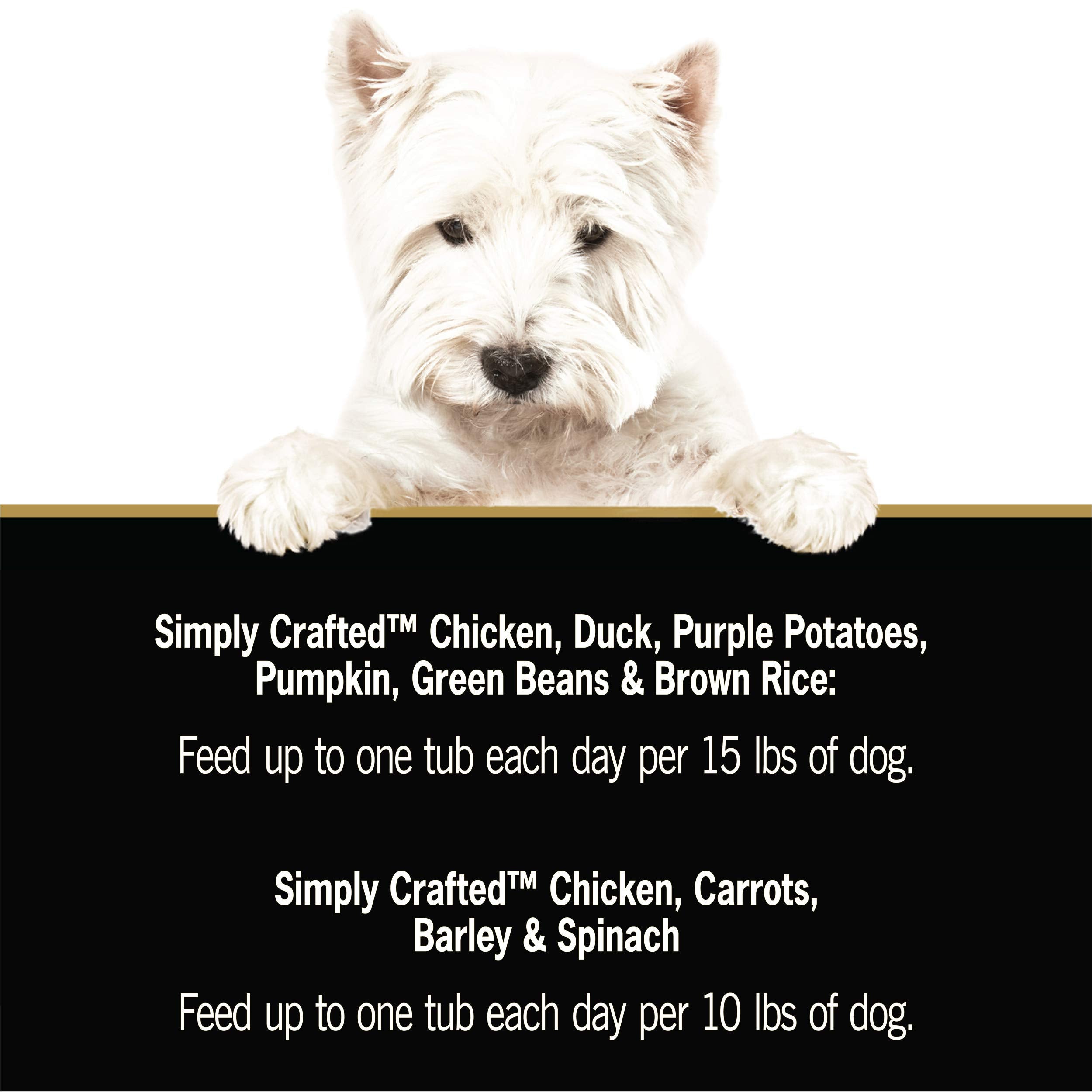 Cesar Simply Crafted Adult Wet Dog Food Meal Topper, Chicken, Duck, Purple Potatoes, Pumpkin, Green Beans & Brown Rice and Chick
