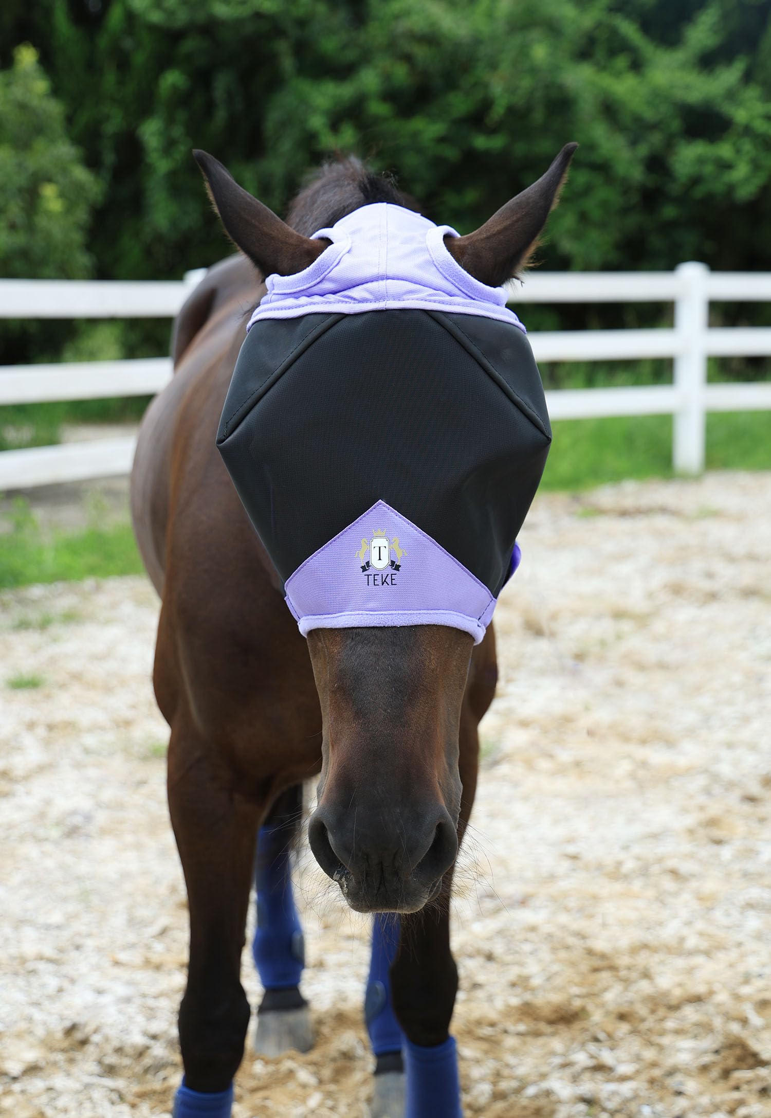 T TEKE Fine Mesh Horse Fly Mask w/No Ears, UV Blocking 3D Eye Visor with Extra Fleece Cushioned Forehead, Protection from Insect