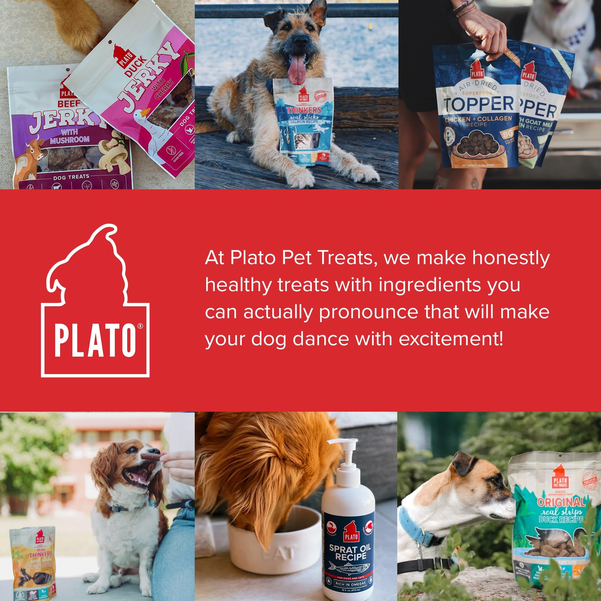 PLATO Pet Treats Jerky Dog Treats - Air-Dried Jerky for Dogs - Delicious, Real Meat Dog Treats - Grain Free - Supports Healthy D
