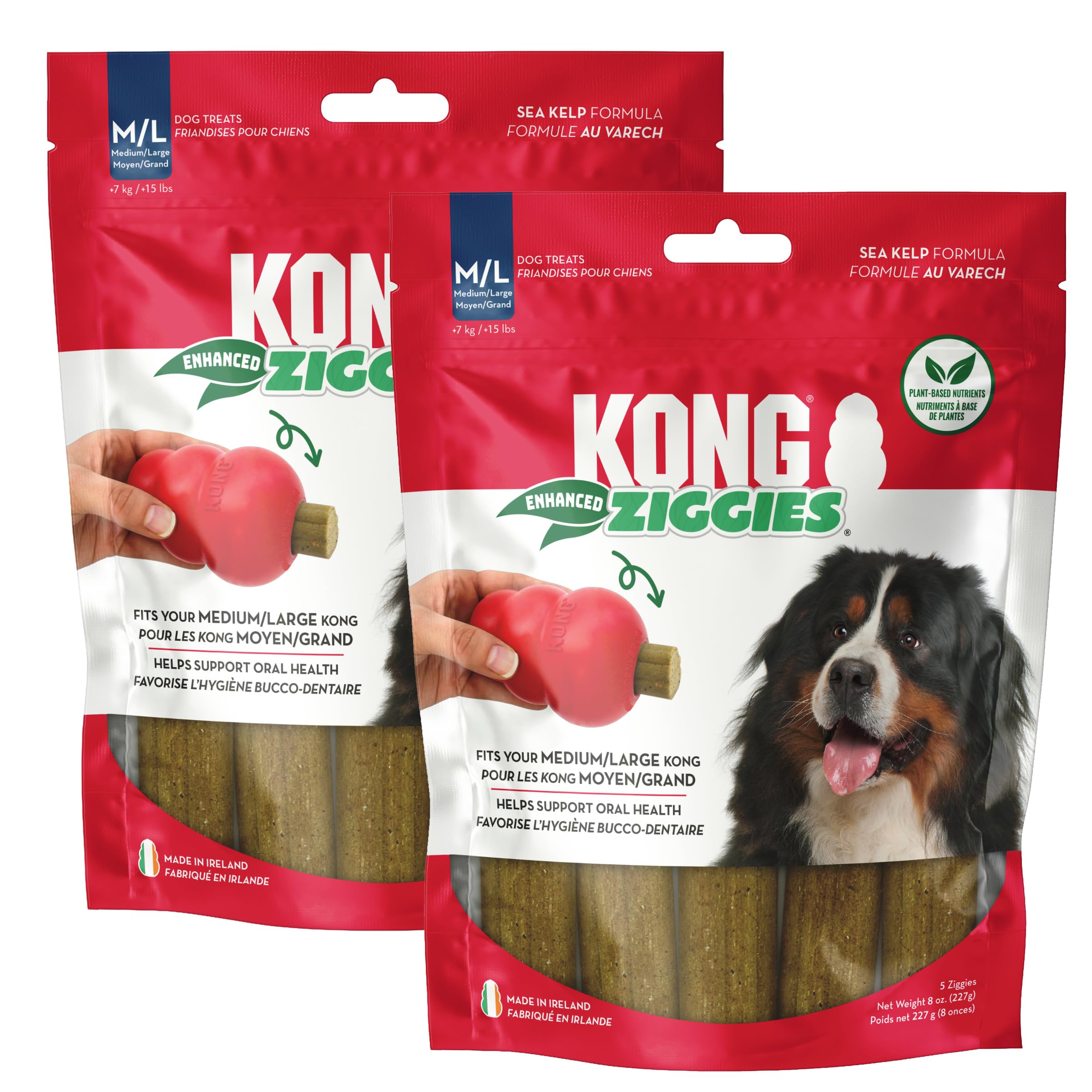 KONG Enhanced Ziggies Dog Treats 2 Pack - Enhanced Teeth Cleaning and Dental Health - Perfect Classic Rubber Toys - Long-Lasting