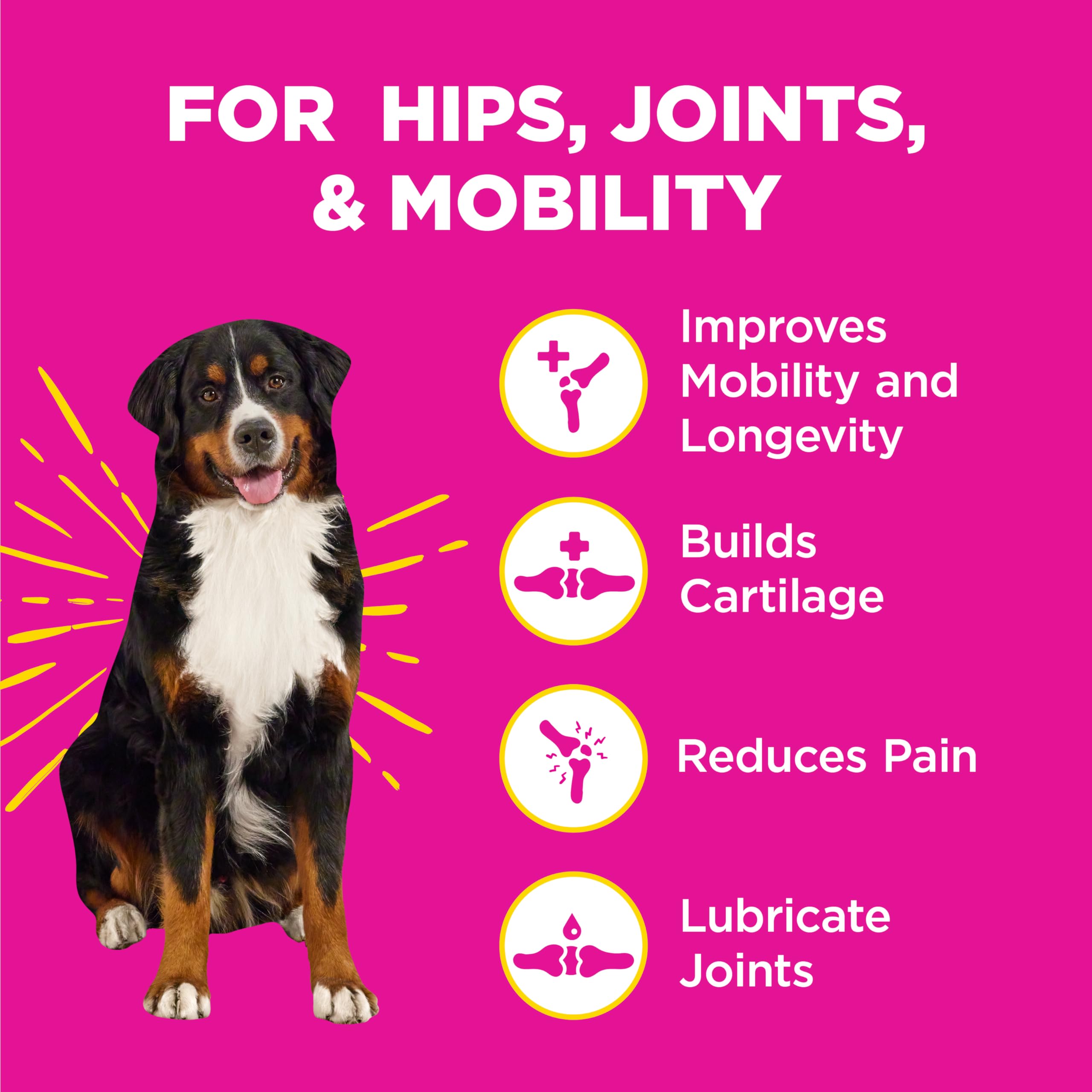 WildPaw WonderBites Hemp for HIPS, Joints, & Mobility -90 Soft Chews- Improves Mobility, Reduces Pain - Glucosamine, MSM, Hyalur