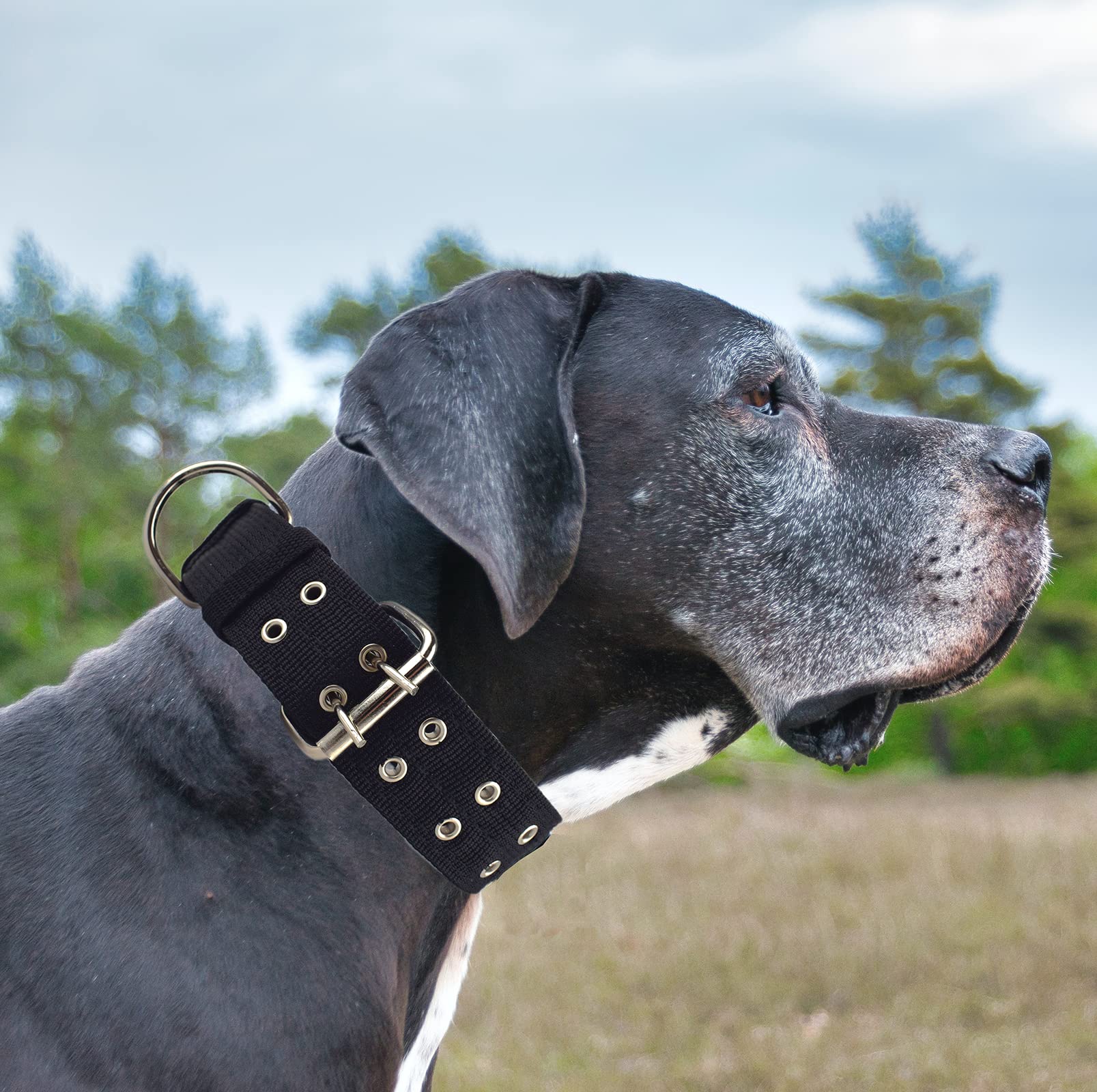 Cdycam Military Adjustable Dog Collar, 1.5 Inch Wide D Ring & Buckle 2-Rows Dog Collar, Black Nylon Tactical Dog Collars For Large Dog