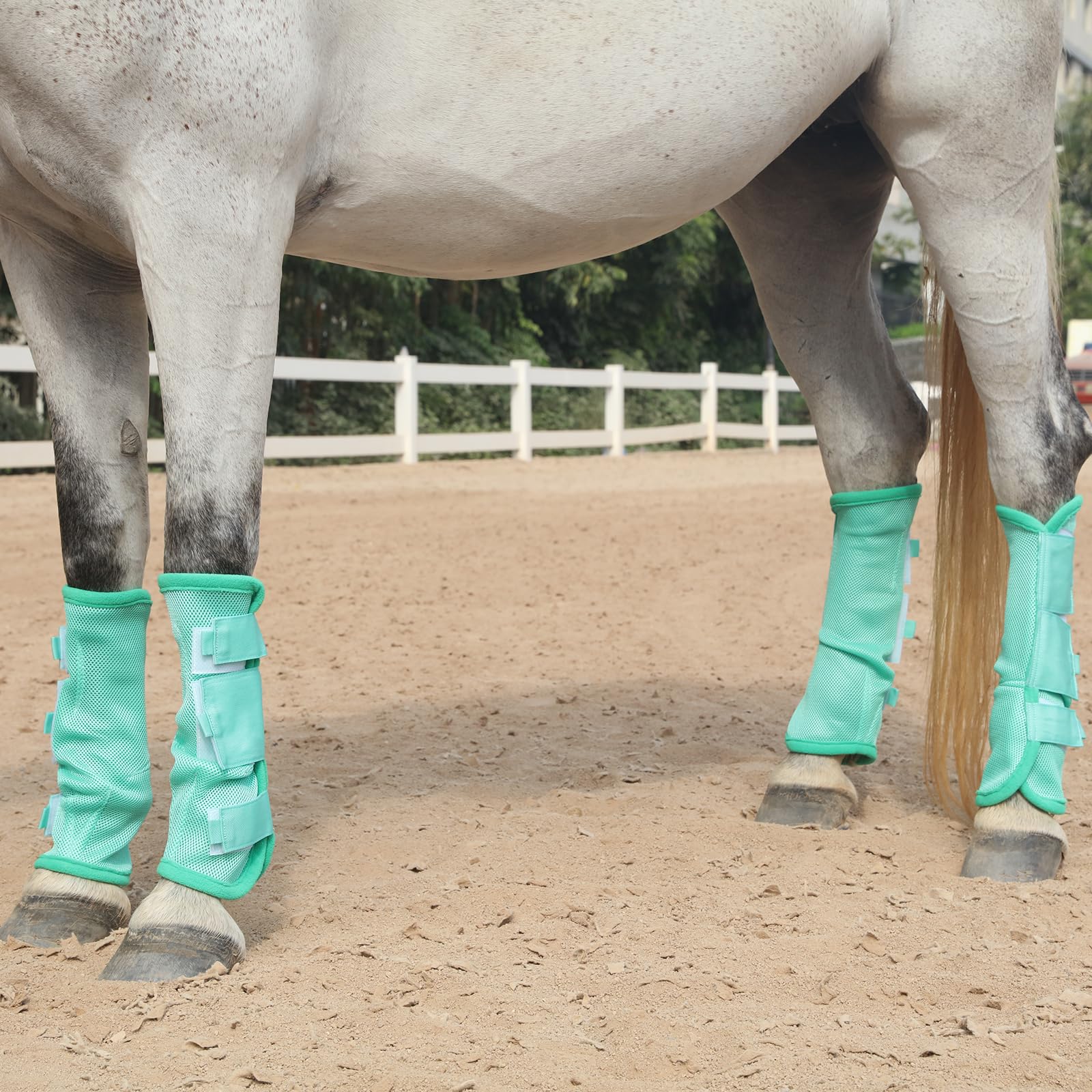 Gallopoff Fly Boots For Horses Set Of 4, Non-Slip Horse Fly Boots, Comfy Airflow Mesh, No More Stomping & Horsefly Nuisance Gree