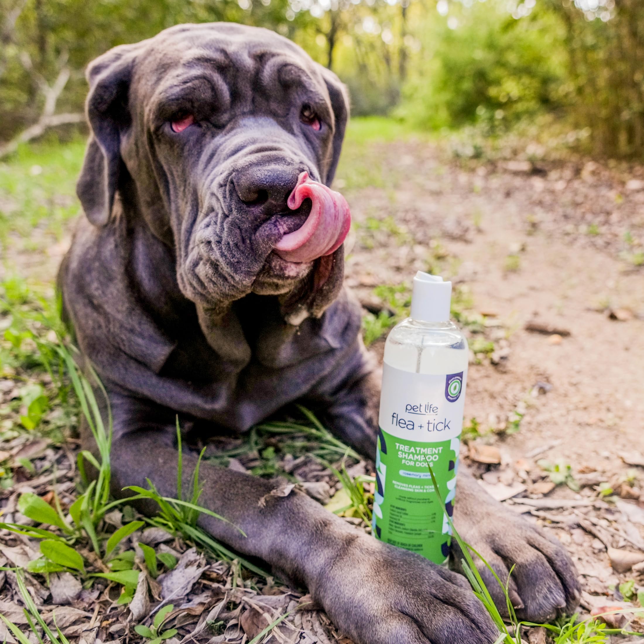 Pet Life Unlimited Natural Flea & Tick Gel Treatment Shampoo for Dogs | Made in USA | 16 Ounce