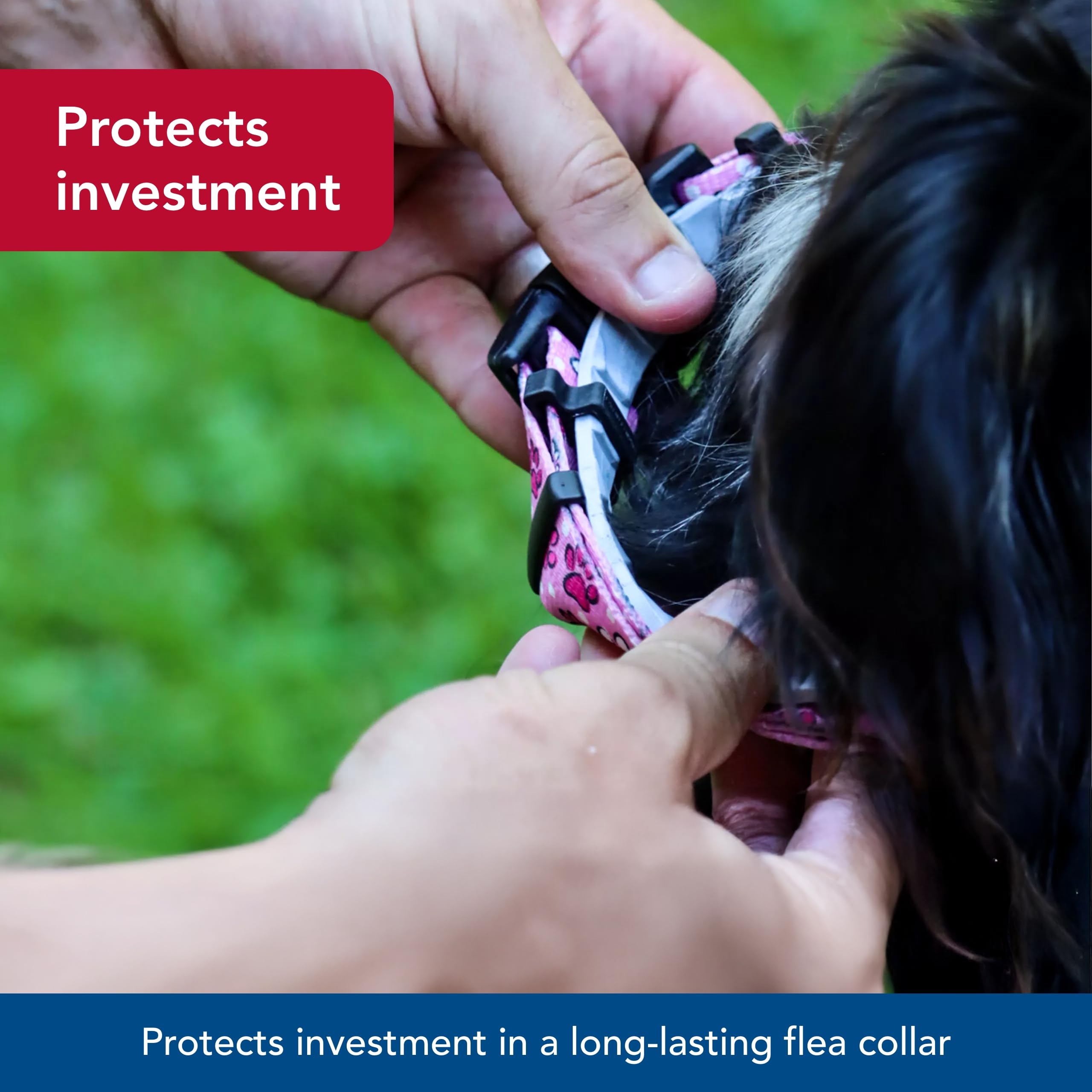 Coastal Pet SecureAway Collar Protector for Flea Collars - Adjustable pet Accessory - Protective Flea Collar for Dogs & Puppy- B