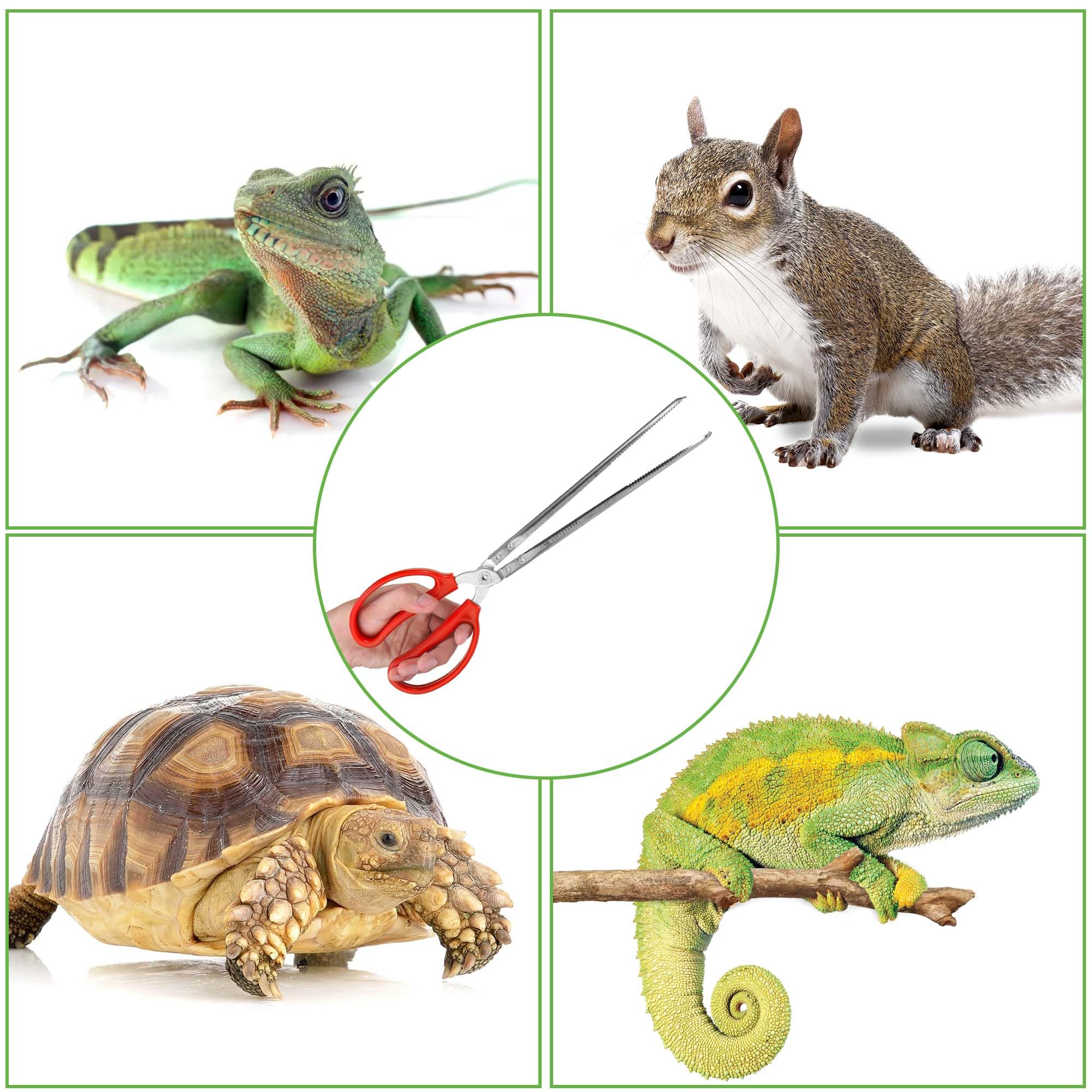 Snake Feeding Tongs,15 Inch Reptile Feeding Tongs,Extra Long Large Tweezers For Corn Ball Python Accessories,Bearded Dragon Tank