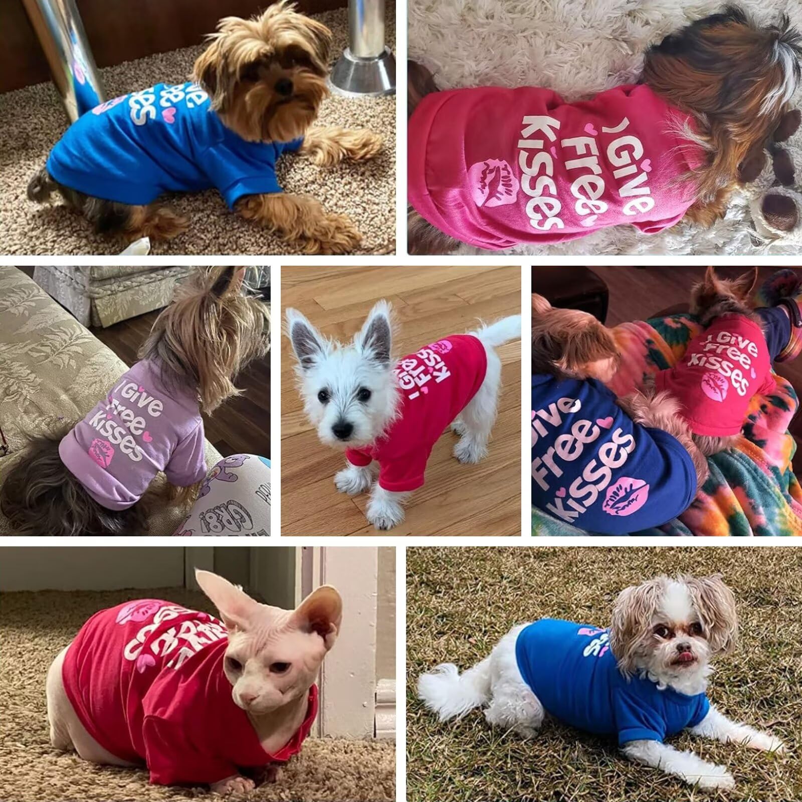 Petcare 3 Pack Small Dog Shirts Girl Puppy Clothes Cat T Shirt Soft Cotton Short Sleeve Tee Shirts For Small Dogs Girls Chihuahu