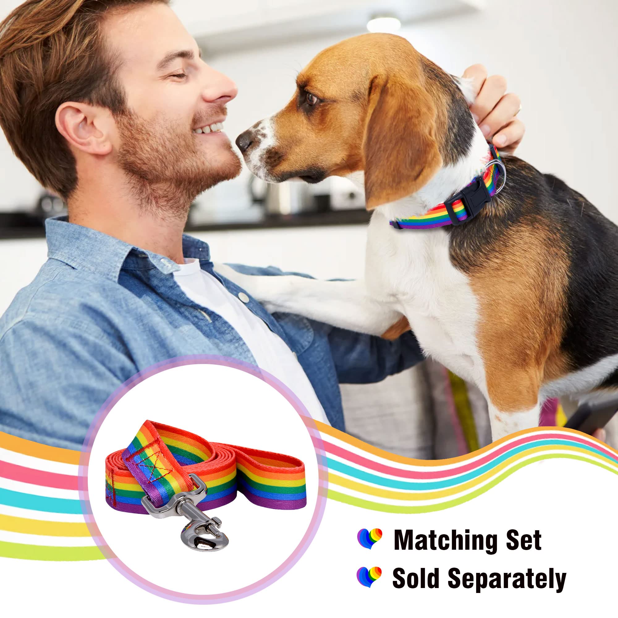 Native Pup Rainbow Flag Dog Collar Gay Pride Stuff For Parade, Lgbtq Flags Equality Pet Apparel Decor Gift And Lgbt Ally Accessories (Large)