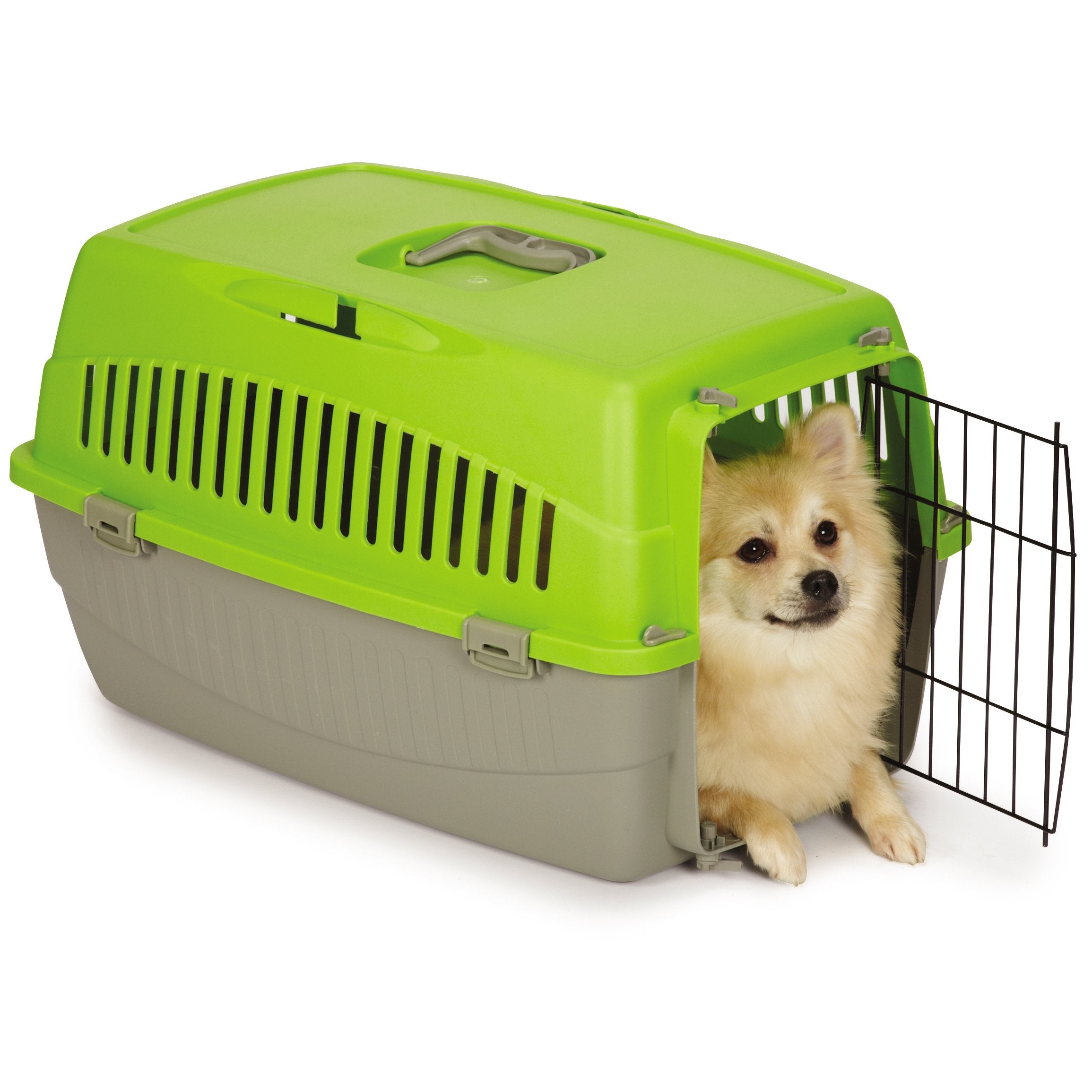 Cruising Companion Carry Me Pet Crate Medium Green