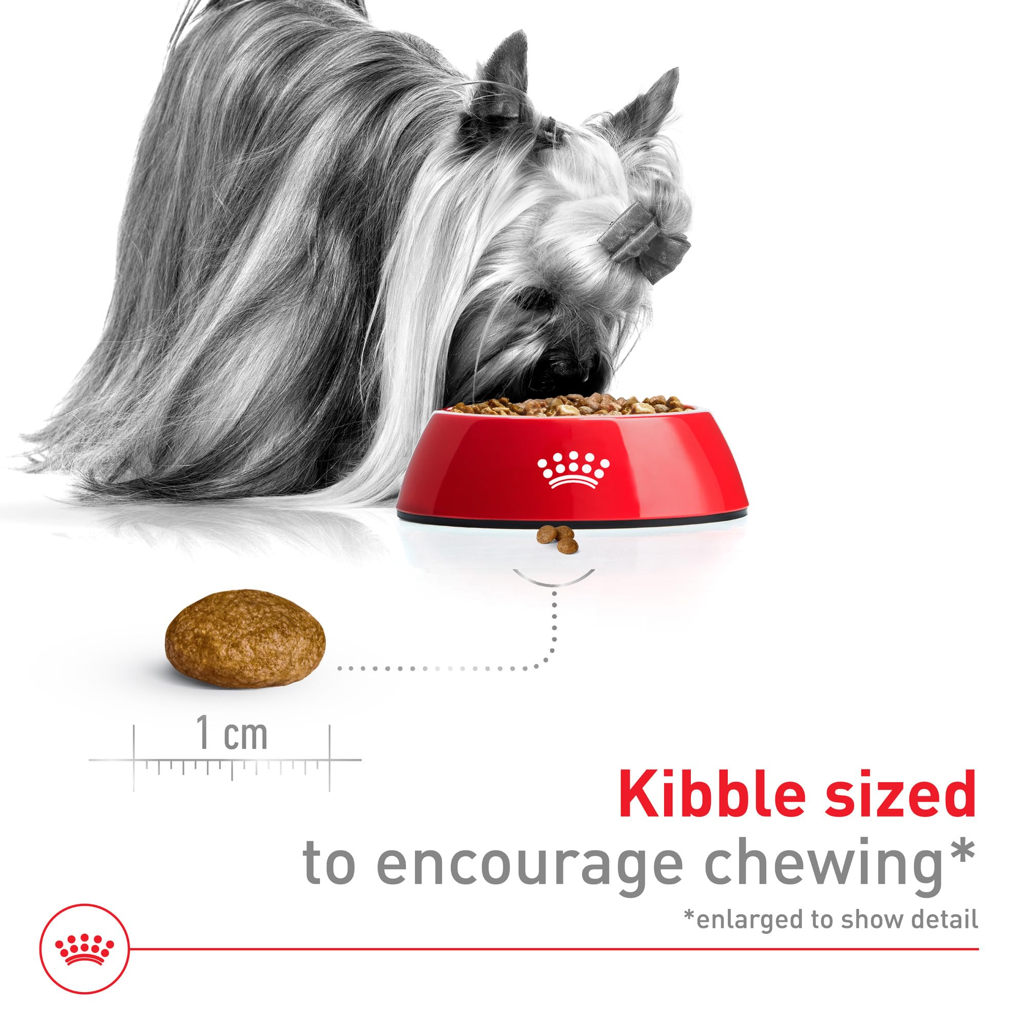 Royal Canin X-Small Adult Dry Dog Food, 14 lb Bag - Size Health Nutrition, Model 512214