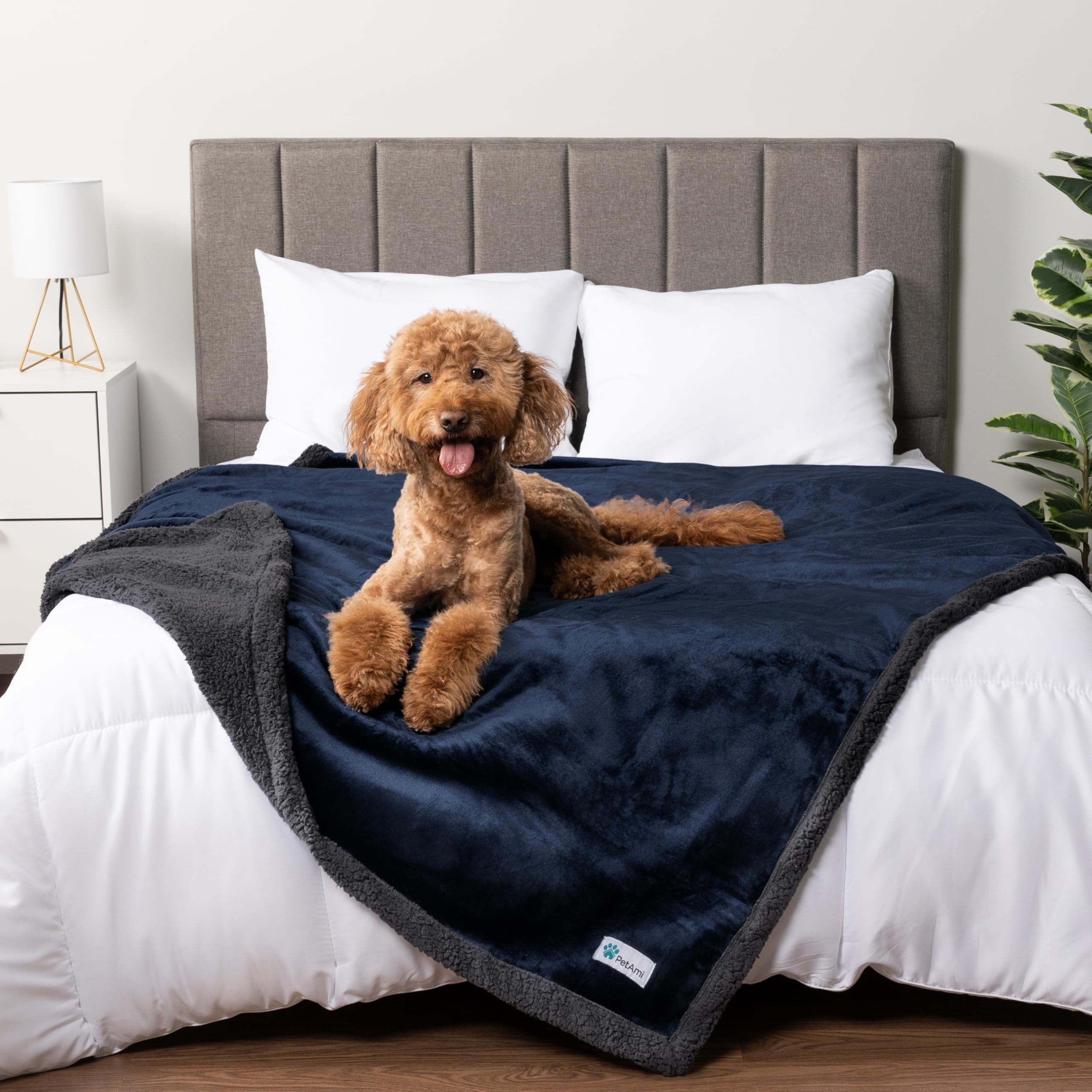 Petami Waterproof Dog Blanket For Bed, Xl Dog Pet Blanket Couch Cover Protection, Sherpa Fleece Leakproof Bed Blanket For Crate Kennel Sofa Furniture Protector, Reversible Soft Plush 80X60 Navy Gray