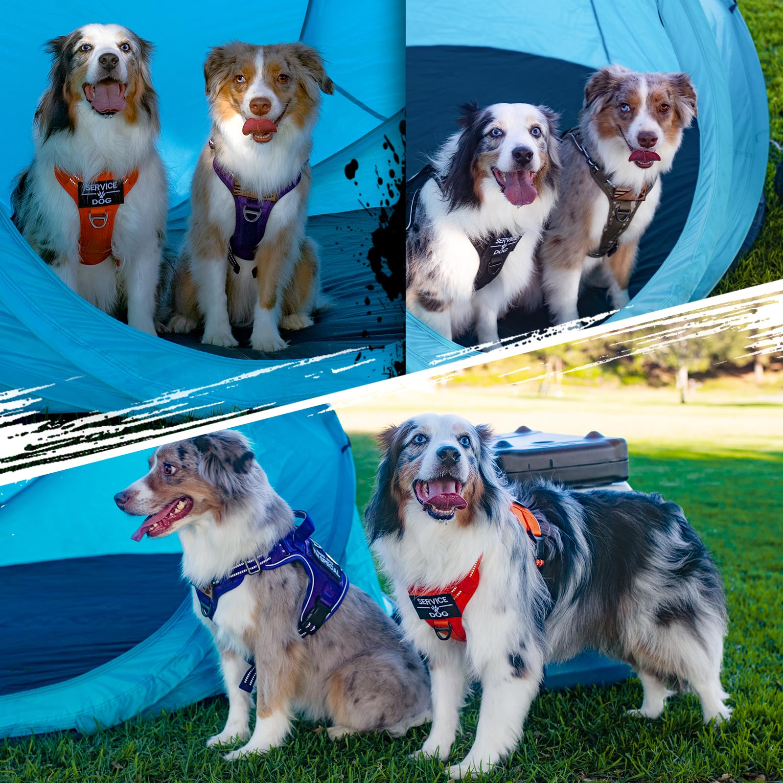 Rabbitgoo Dog Harness No Pull, Military Dog Harness For Small Dogs With Handle & Molle, Easy Control Service Dog Vest Harness Training Walking, Adjustable Reflective Tactical Pet Harness, Purple, S