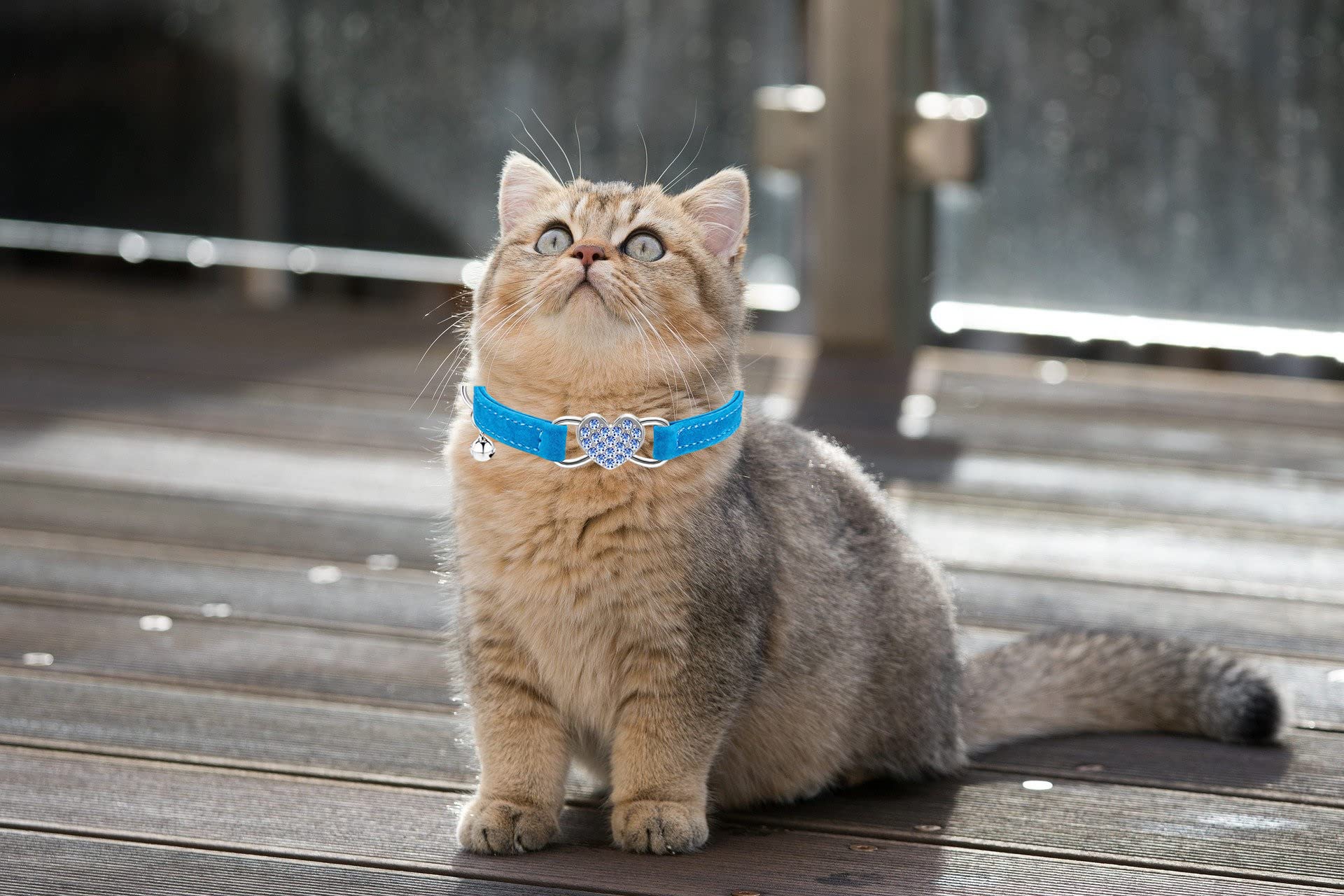 Wdpaws Heart Bling Cat Collar With Safety Belt And Bell Adjustable 8-10 Inches For Kitten Cats (Blue)