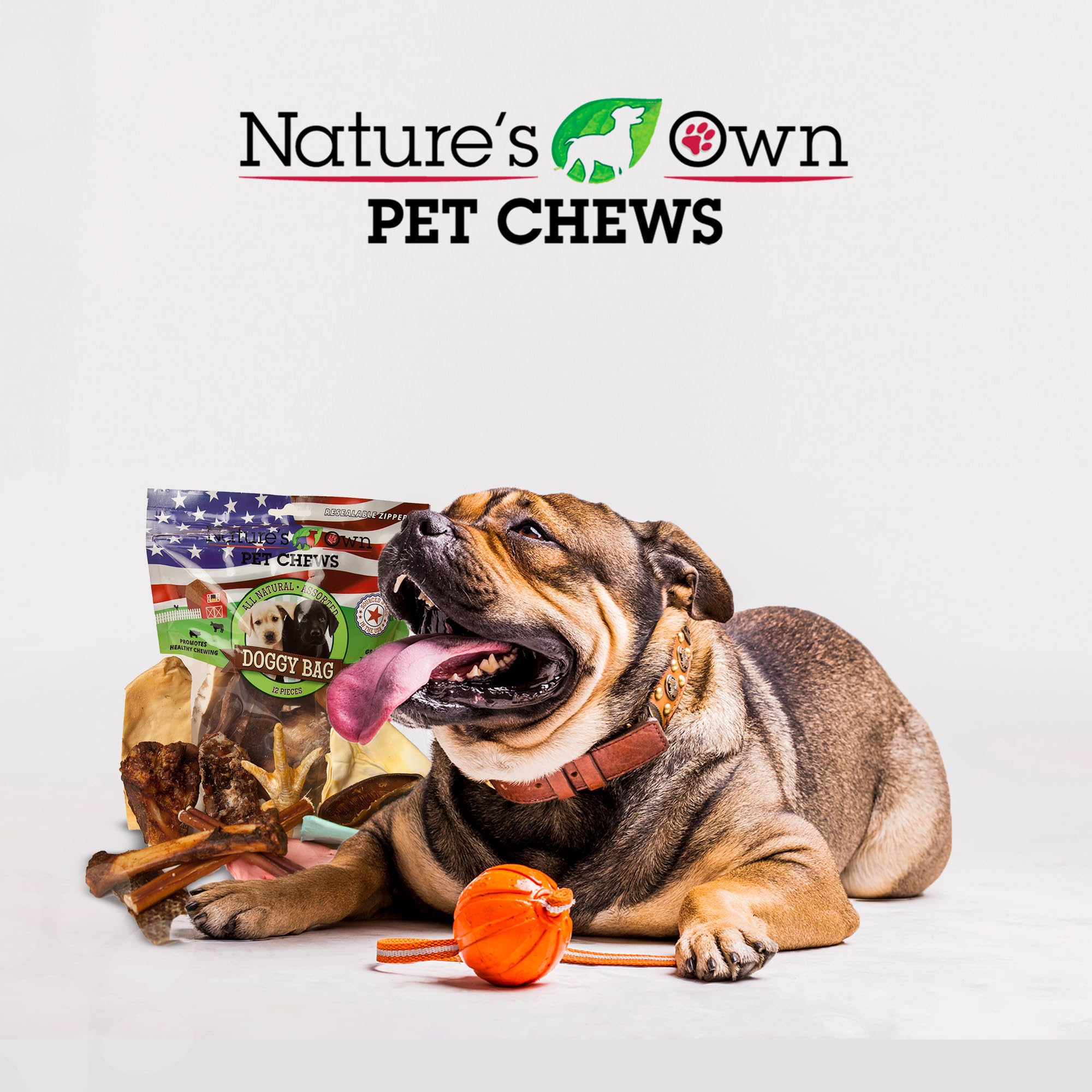 Natures Own Pet Chews Doggy Bag Treat, 12 Piece - Natures Own Healthy Pet Chews - Great for Teeth & Gums - Natural Protein Ful