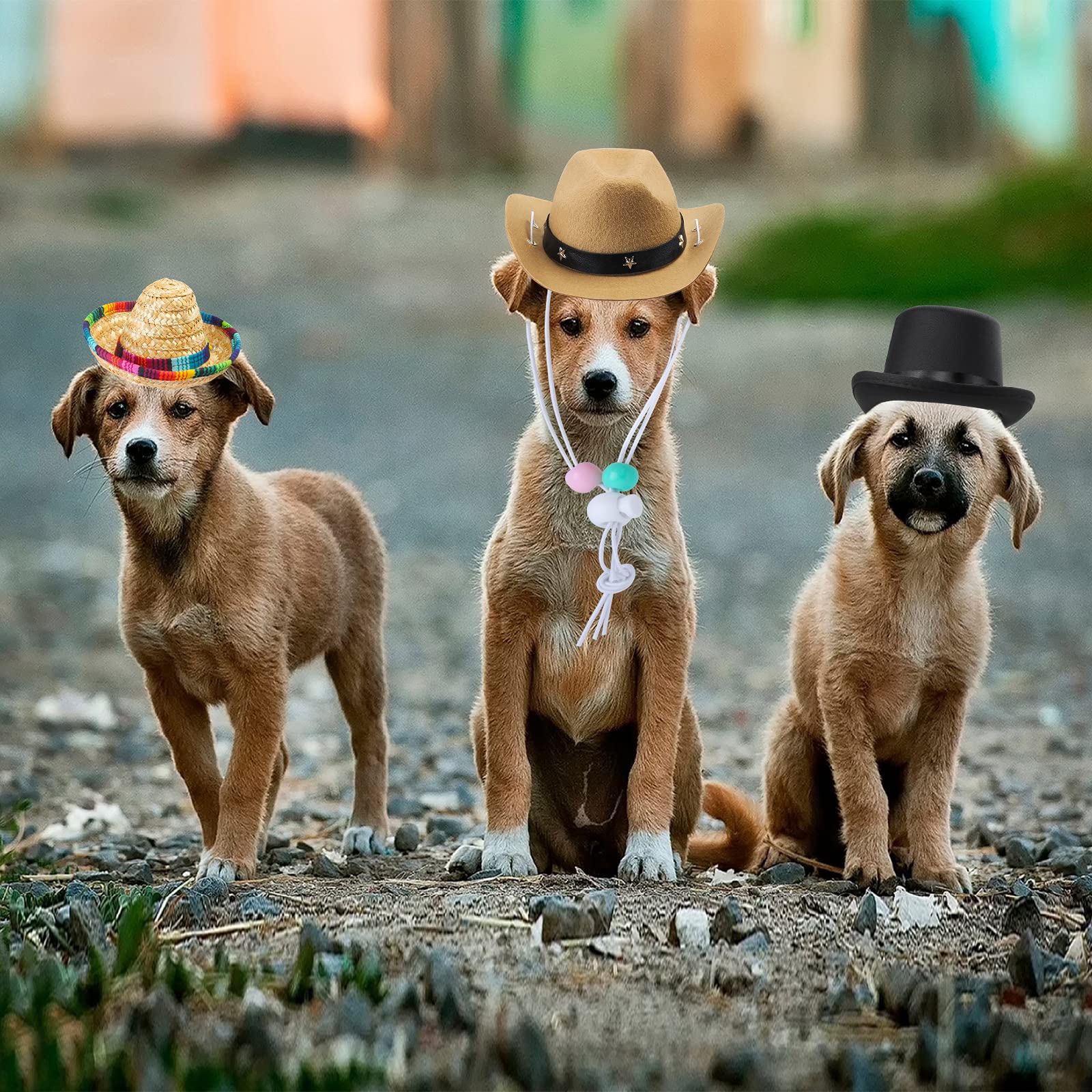 Yewong 3 Pieces Pet Hat Pet Formal Top Hat Mexico Sombrero Hat Cowboy Hat Dog Cat Pet Costume Hat For Halloween Party Photo Props Supplies One Size