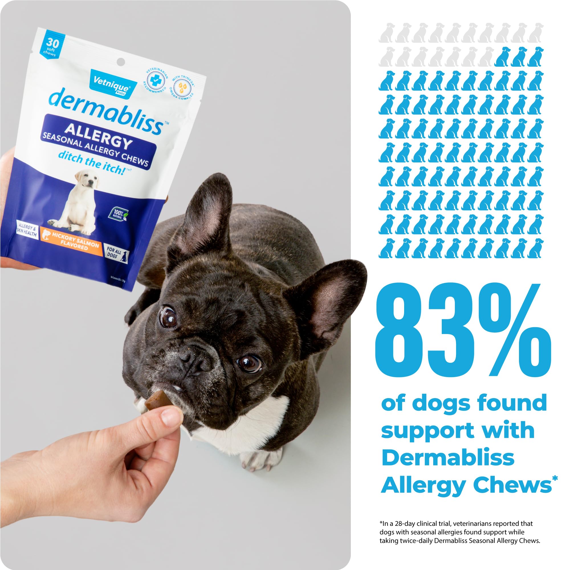 Vetnique Labs Dermabliss Dog Allergy Relief & Immune Support Supplement Allergy Chews for Dogs Itching and Licking with Omega 3