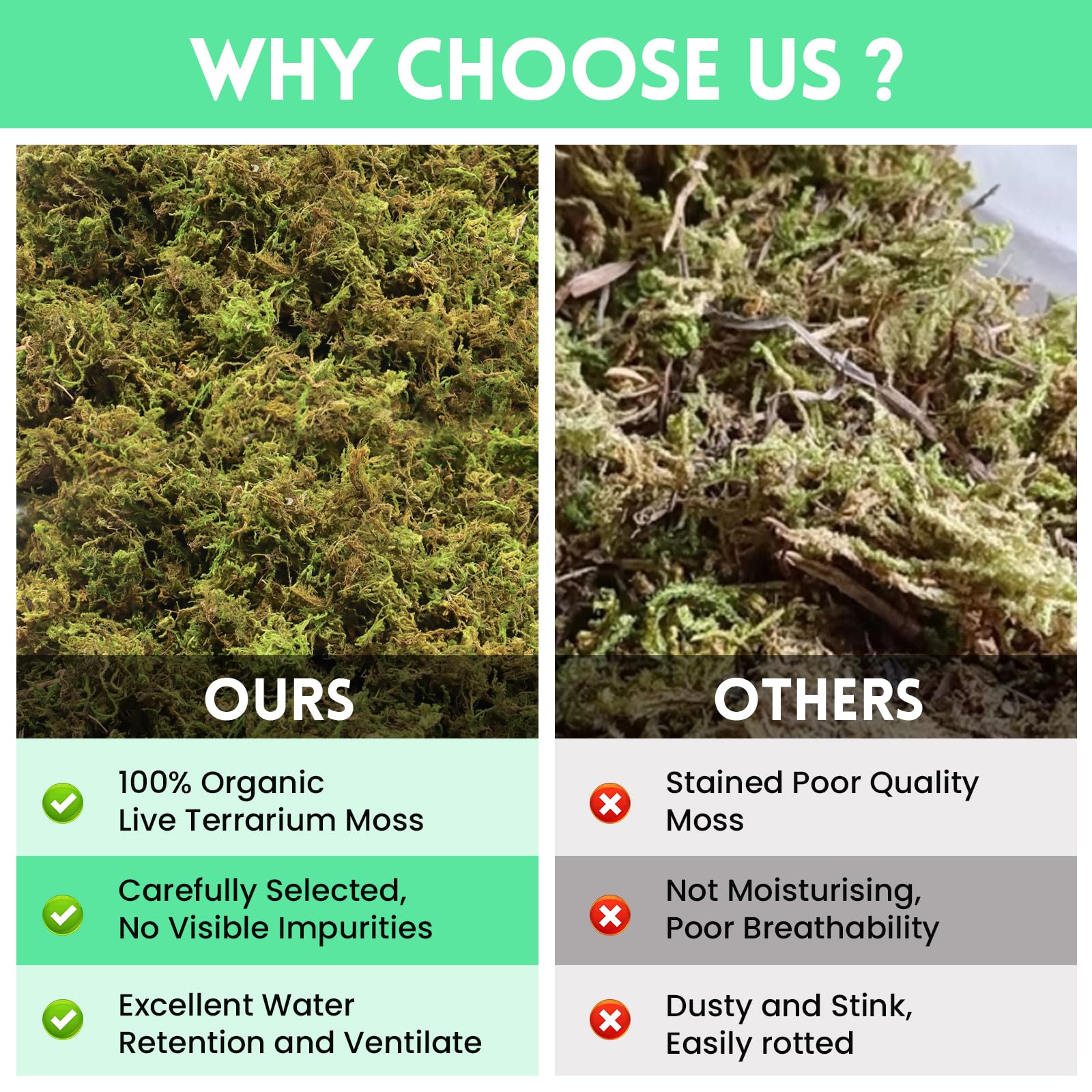 Riare 14 OZ Premium Sphagnum Moss for Reptiles- 20QT Natural Live Moss Reptile Moss Bedding for Terrarium, Hatching, Forest Spha