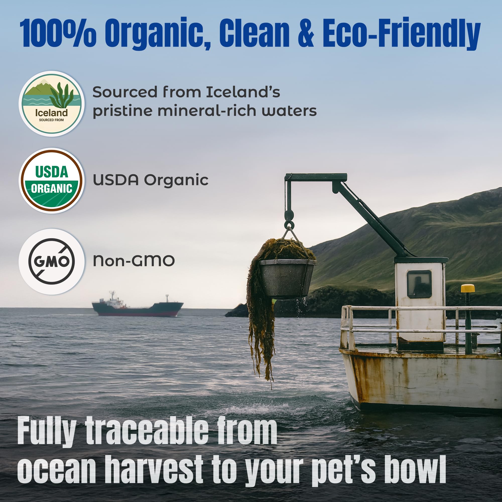 Organic Ocean KELP 5 LB