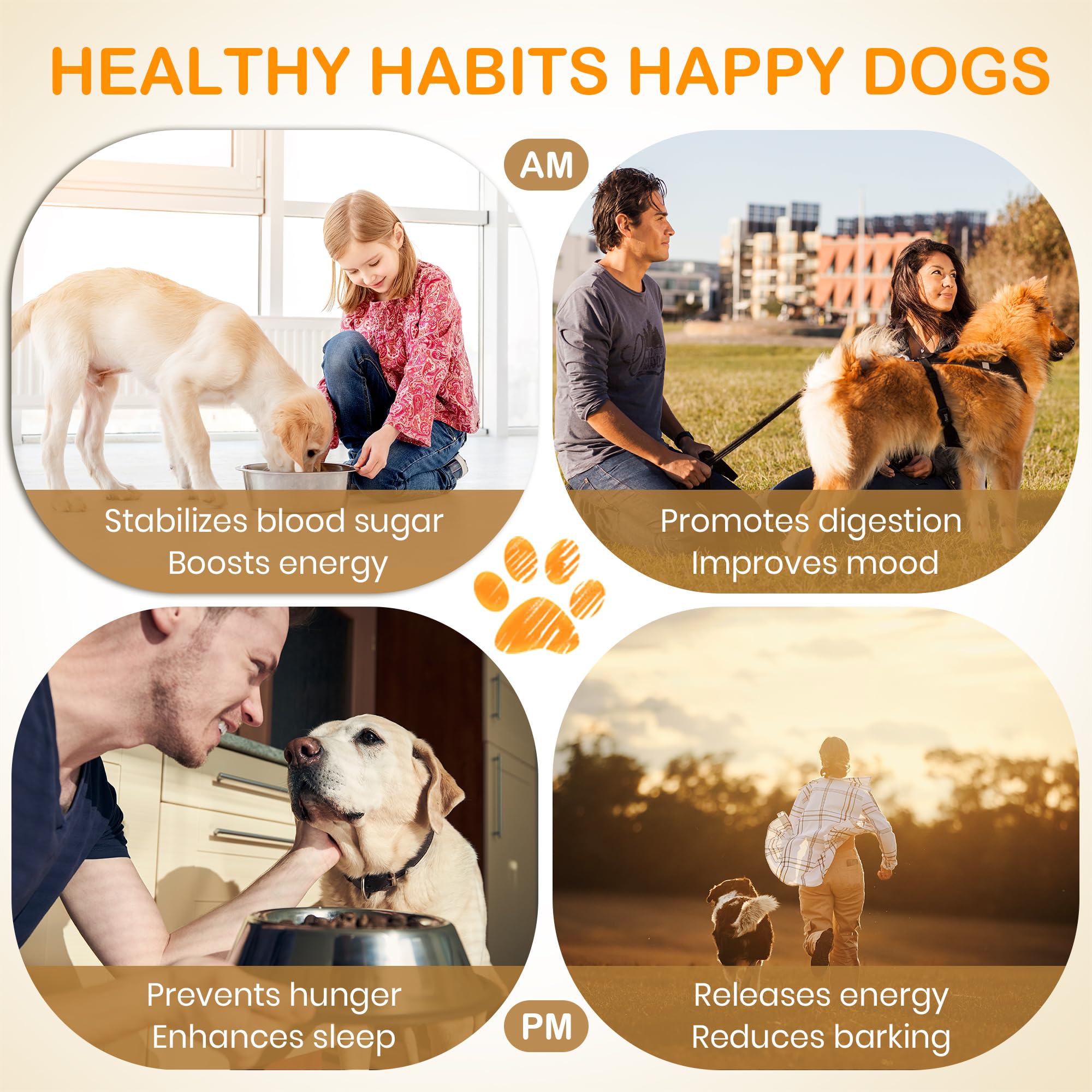 Dog Feeding Reminder Sign, Pet Feeding Tracker with Magnet, AM PM Daily Acrylic Slider Board for Fridge Wall Mounting, Plus Walk