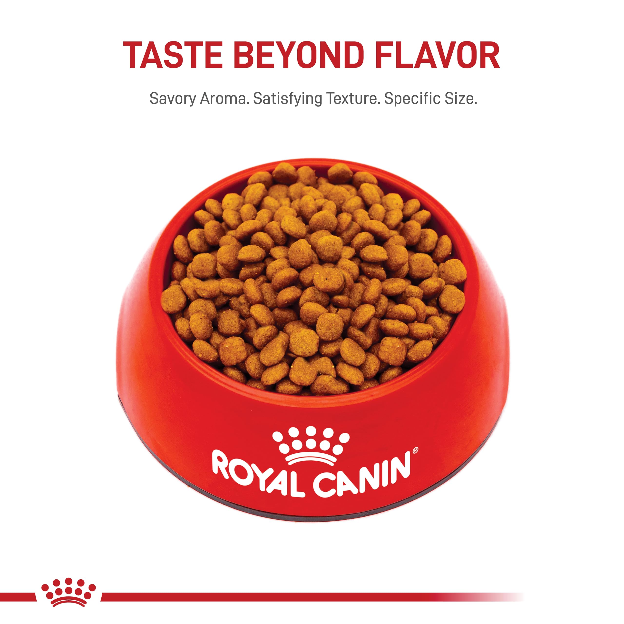 Royal Canin Miniature Schnauzer Puppy Breed Specific Dry Dog Food, 2.5 lb bag
