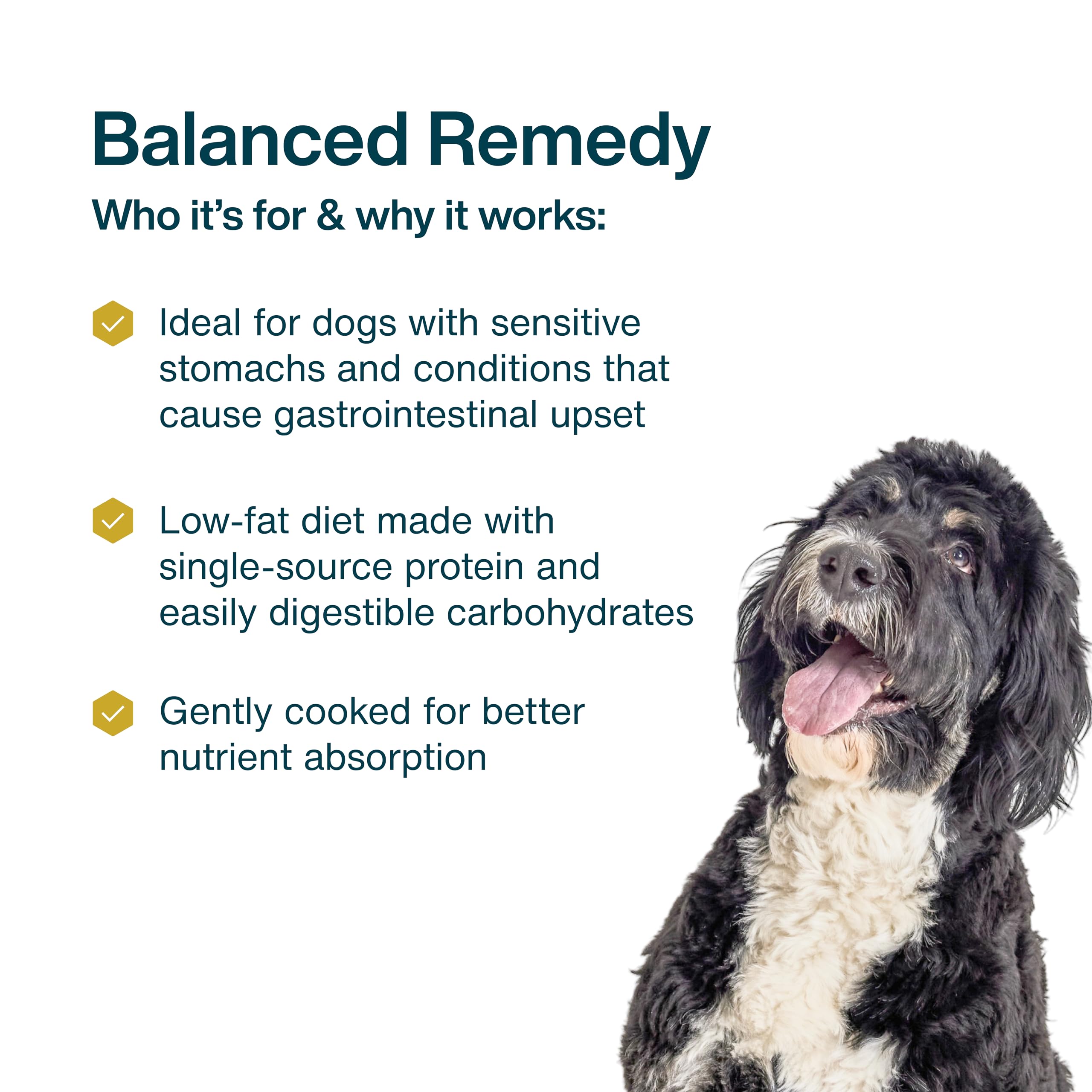 JustFoodForDogs Pantry Fresh Wet Dog Food, Complete Meal or Dog Food Topper, for Sensitive Stomachs, Balanced Remedy Human Grade