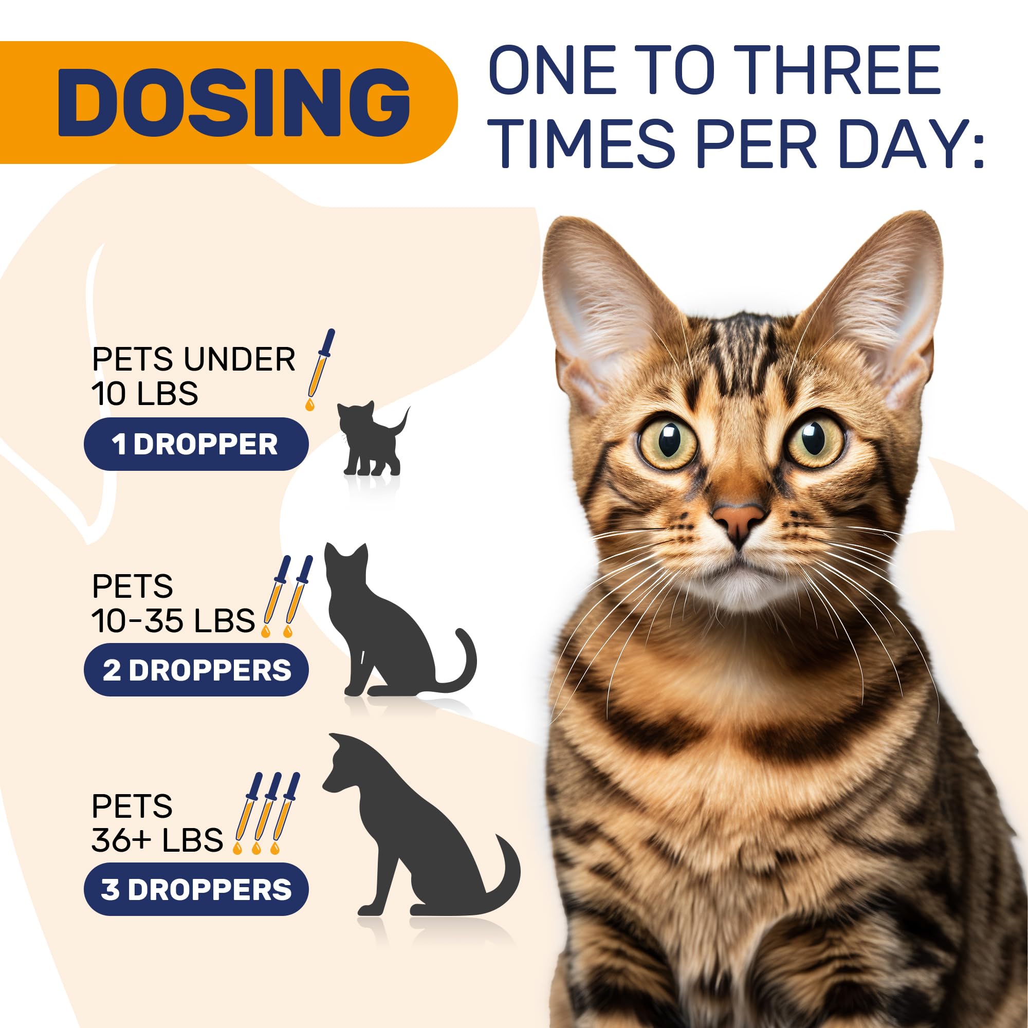 Cat Allergy - Dog Allergy - Cat And Dog Allergy Support - Cat Itching - Dog Itching Skin - Natural Ingredients - 2 Oz