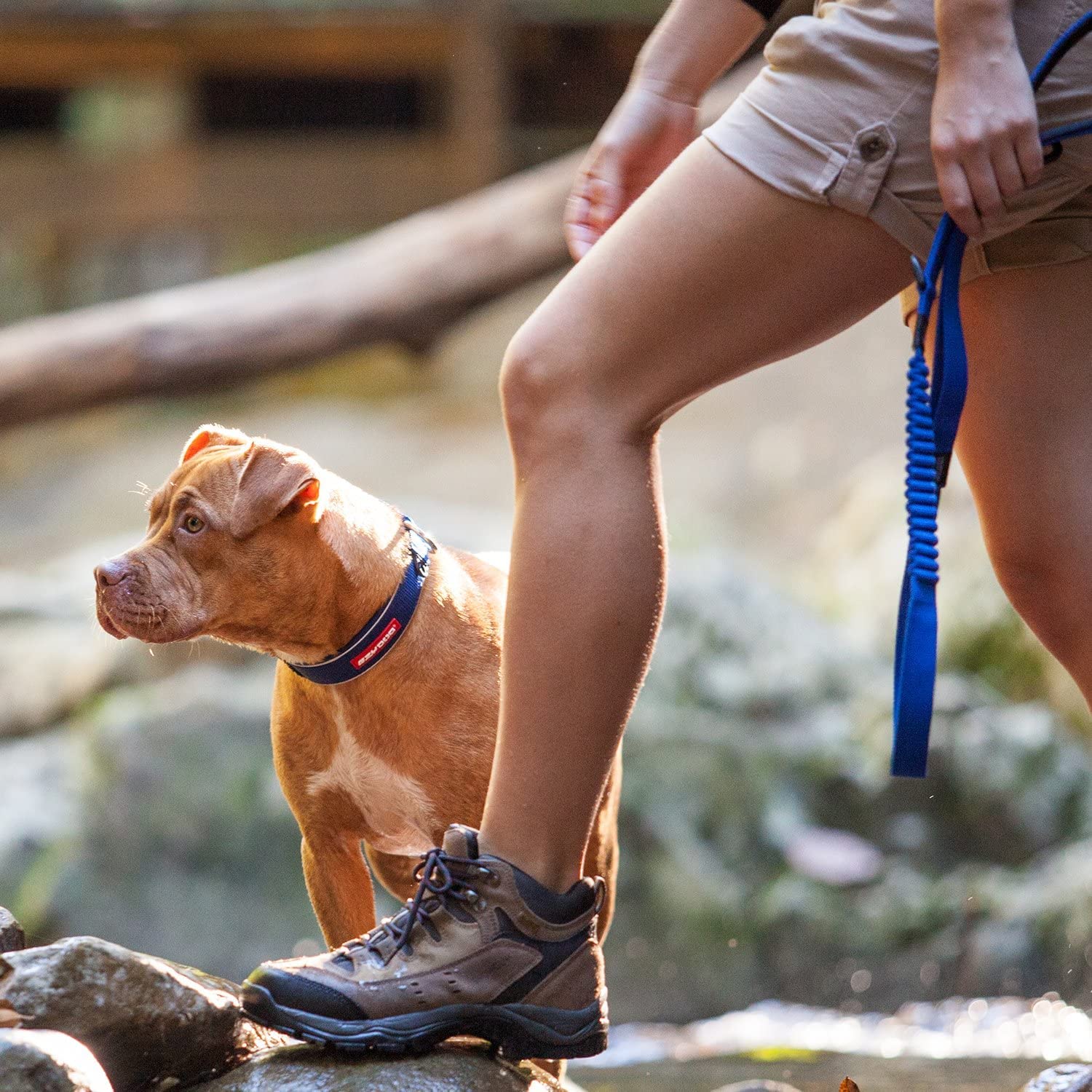 Ezydog Zero Shock Dog Leash - Shock Absorbing Bungee Leash For Dogs That Pull Or Excite - Dual Handle And Reflective For Large,