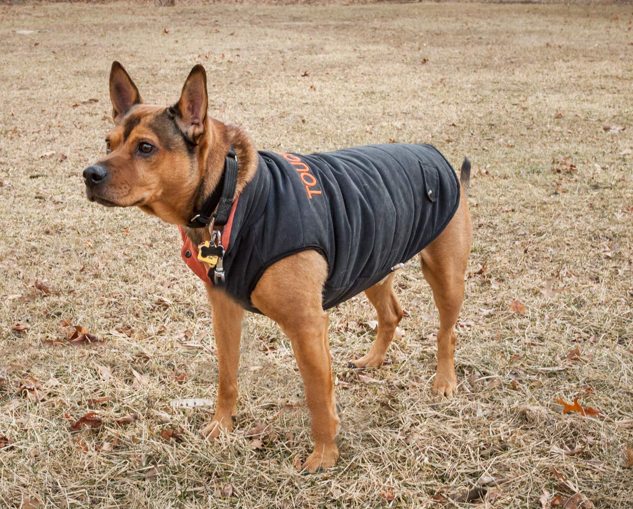 TOUCHDOG 'Waggin Swag' Fashion Designer Reversible 3M Insulated Pet Dog Coat Jacket, Large, Brown / Orange