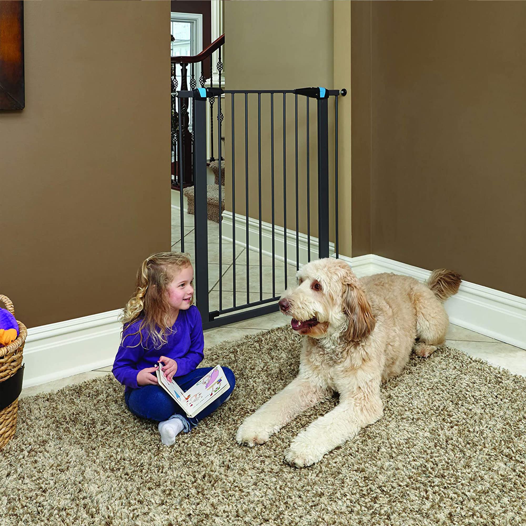 Midwest Homes For Pets 39 Inches Tall Walk-Though Steel Pet Gate, Pressure Mounted Dog Gatewith Glow Strip Measures 29-38 Inches
