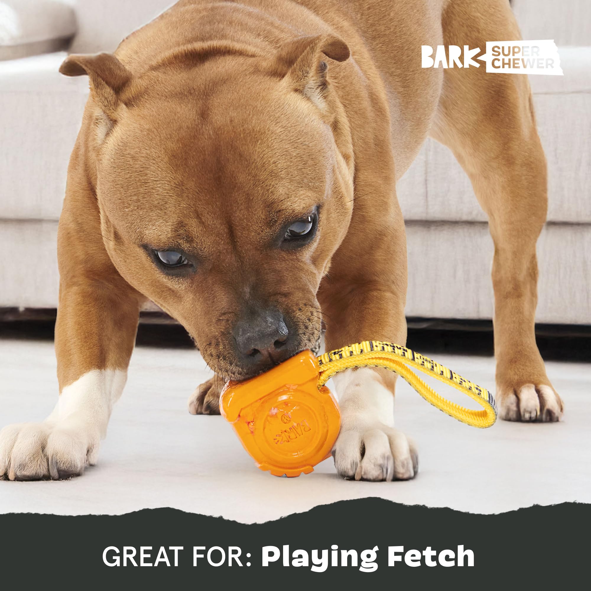 Barkbox Tug Measure Durable Dog Toy, Perfect For Strong Chewers And Interactive Play - Large