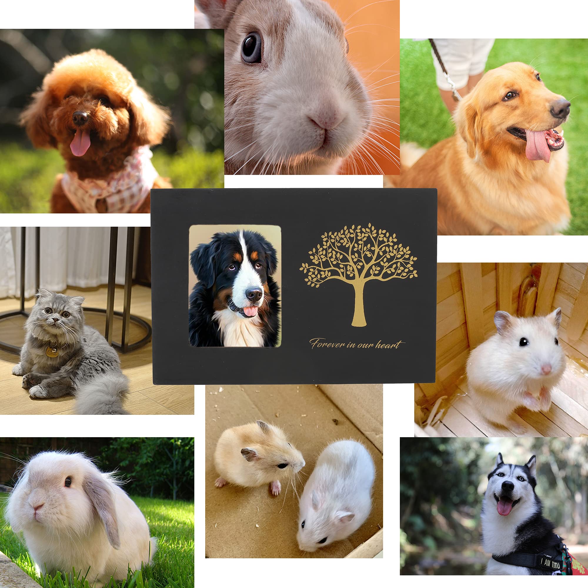 Newdream: Medium Black Dog Urn For Ashes With Forever In Our Hearts,With Photos Suitable For Dogs Under 100 Lbs.