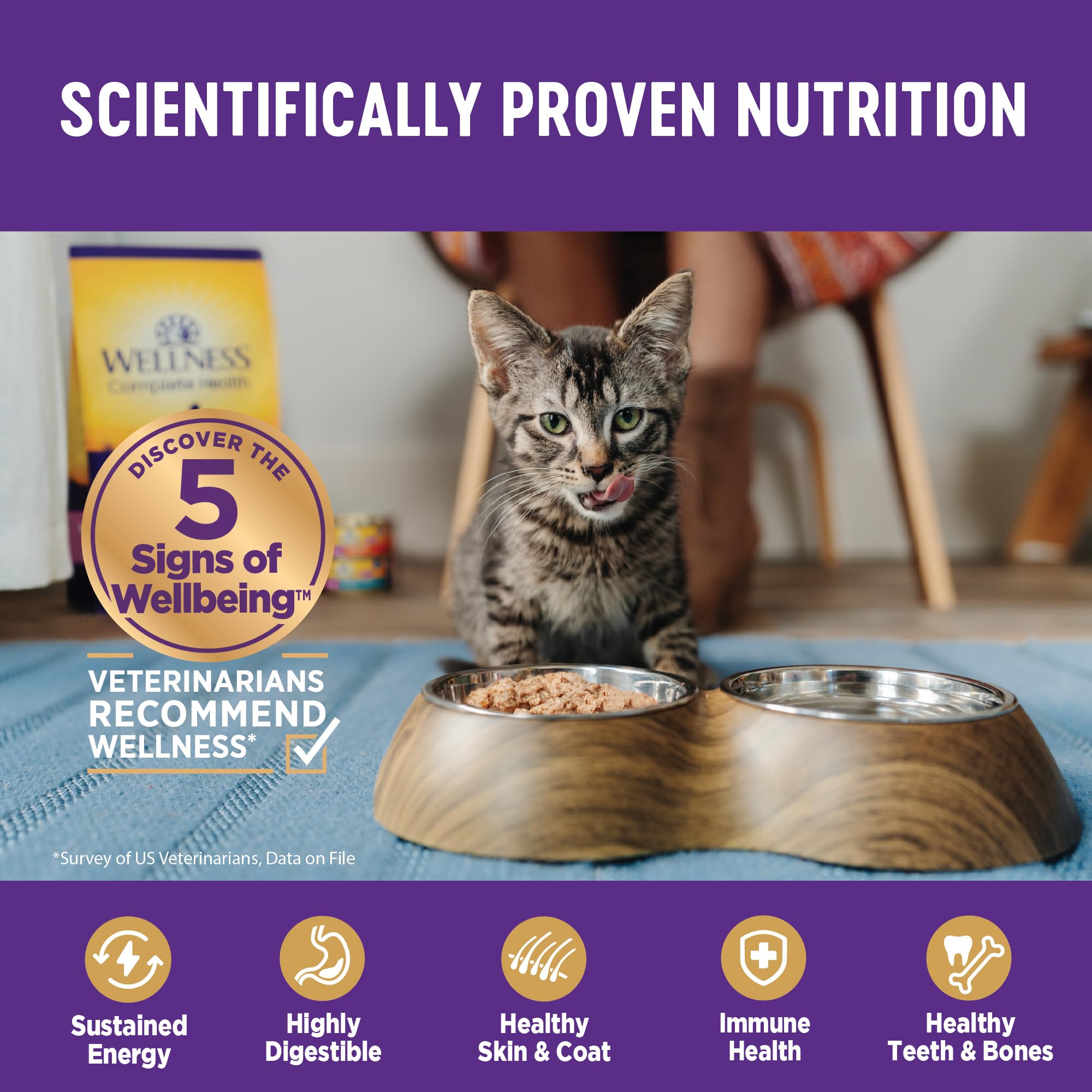 Wellness Complete Health Grain Free Canned Cat Food, Chicken Pate, 12.5 Ounces (Pack of 12)