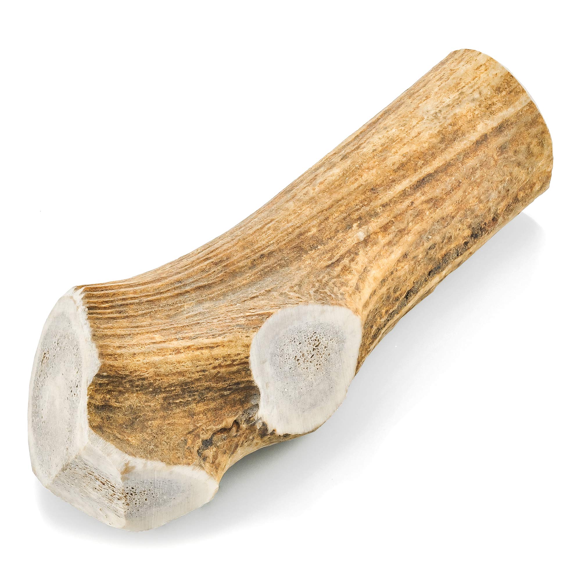 Barkworthies Hand Selected Naturally Shed Extra Large Whole Elk Antler (Single Antler) - Long Lasting, Odor Free Dog Chew For Xl