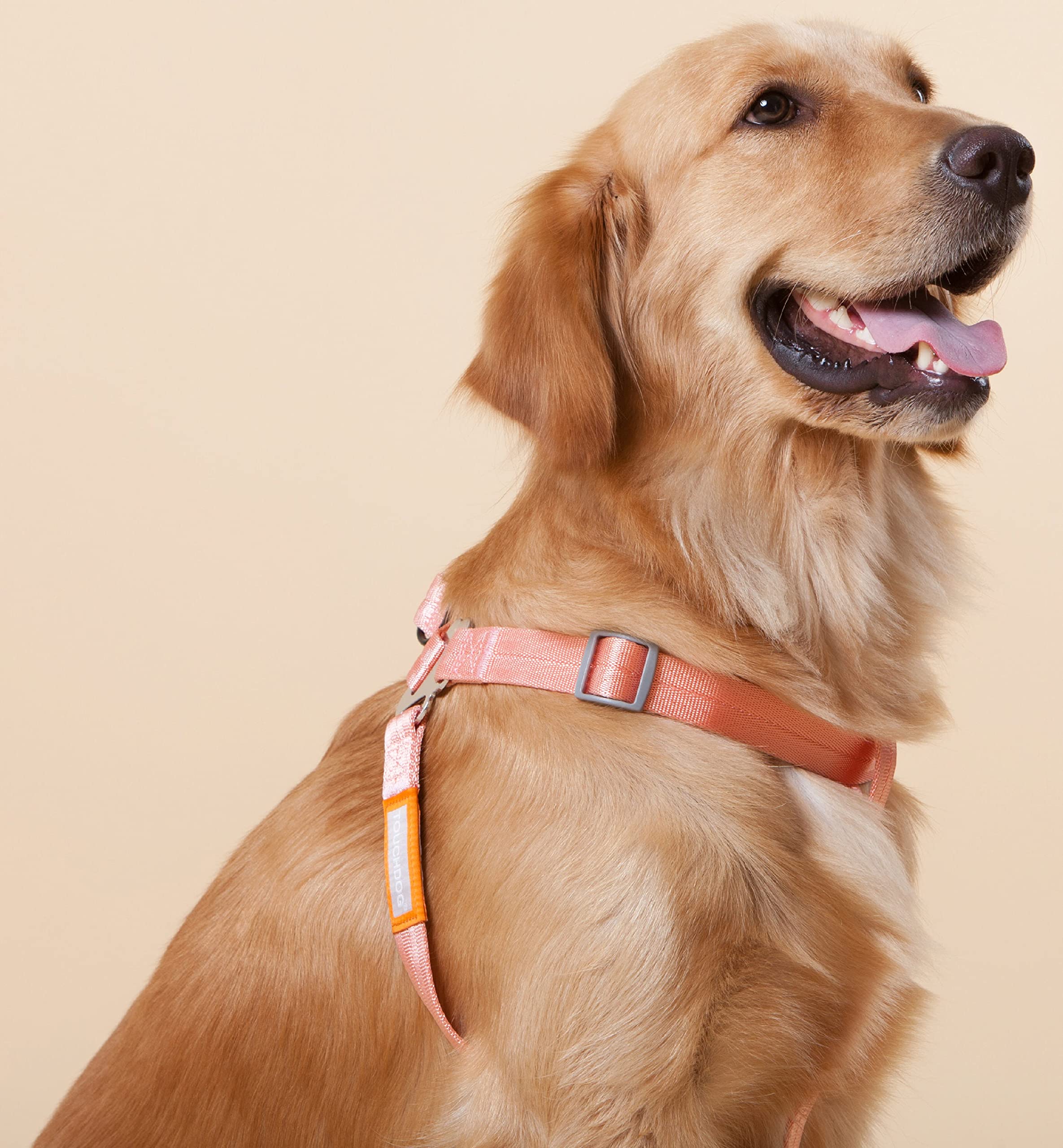 Touchdog  Macaron 2-in-1 Durable Nylon Dog Harness and Leash