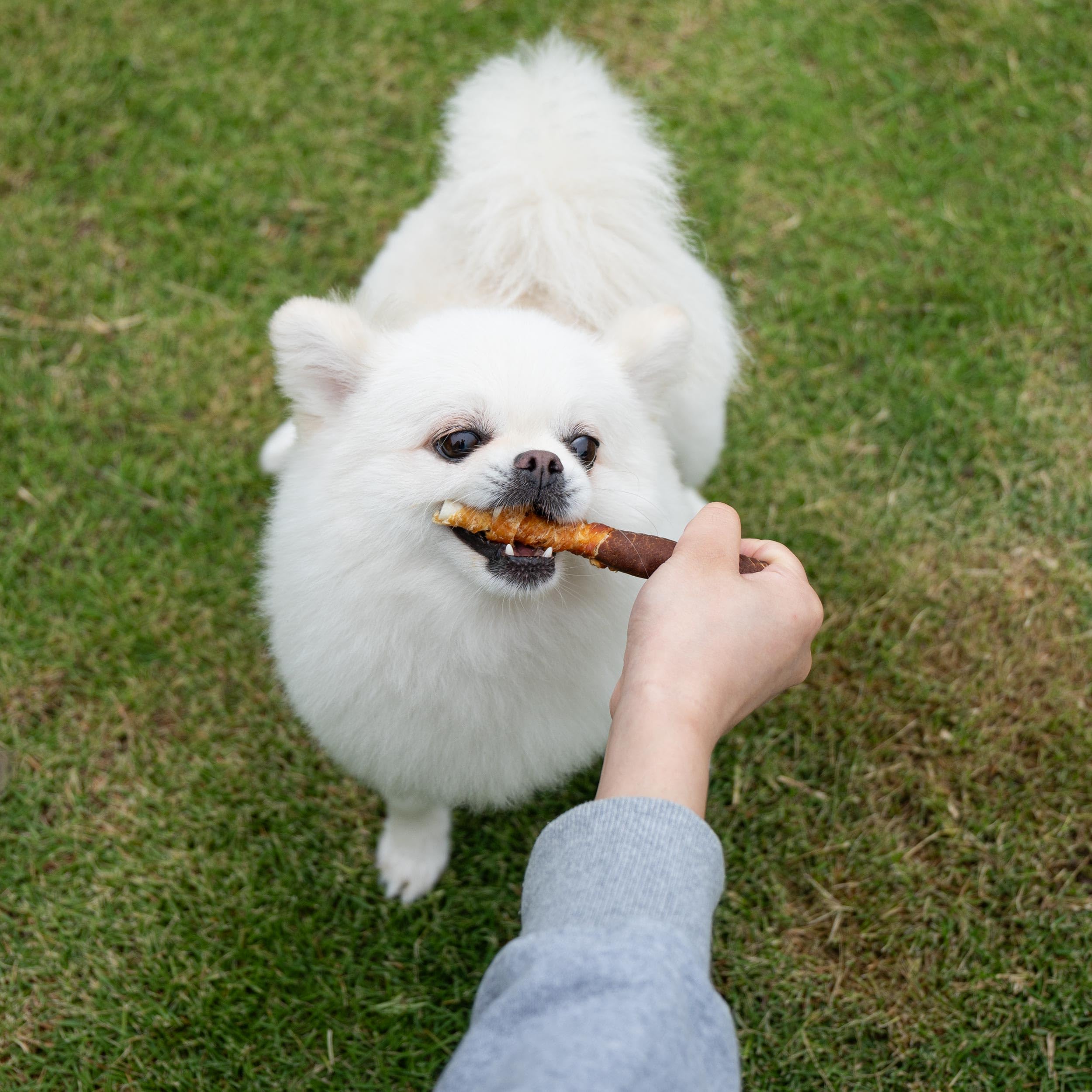 MON2SUN Dog Treats 5 Inch Double Flavor Chicken & Chicken Liver Wrapped Rawhide Sticks, Teeth Cleaning for Small Dogs, 10.6 oz (