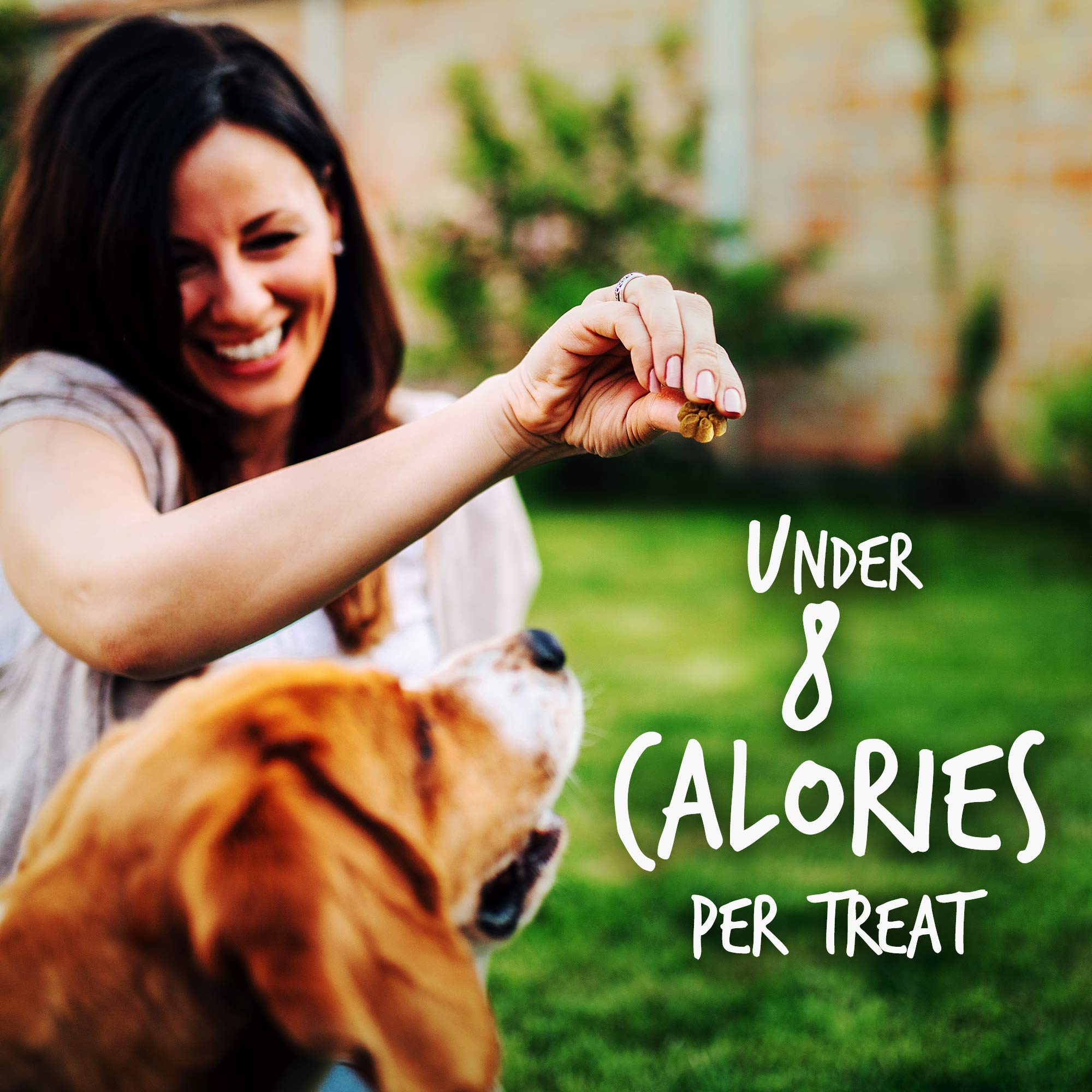 Fruitables Baked Dog Treats - Healthy Low Calorie Pumpkin Treats - Free of Wheat, Corn and Soy - Cripsy Bacon and Apple - 12 Oun