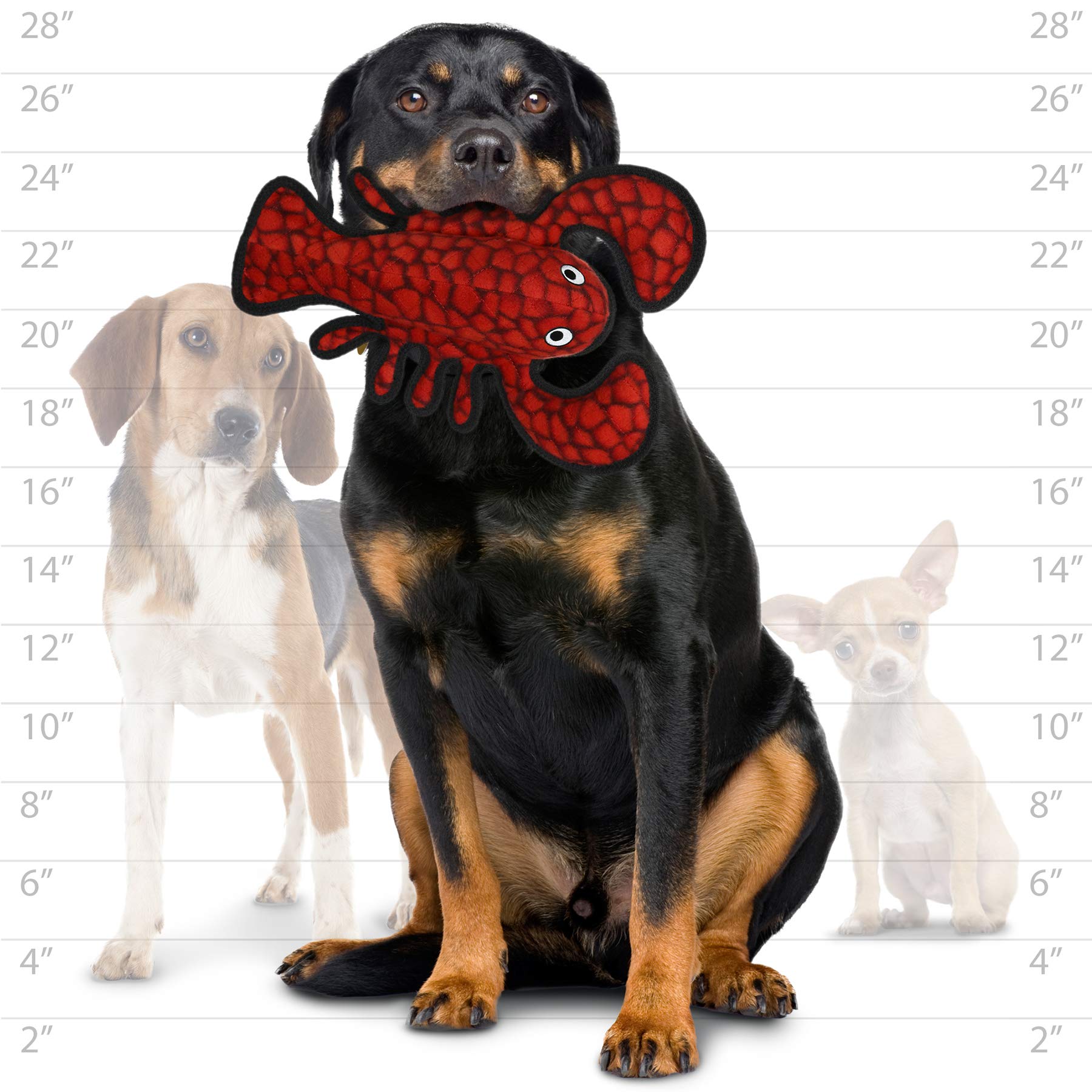Tuffy - World'S Tuffest Soft Dog Toy - Ocean Larry Lobster -Squeakers - Multiple Layers. Made Durable, Strong & Tough. Interactive Play (Tug, Toss & Fetch). Machine Washable & Floats.