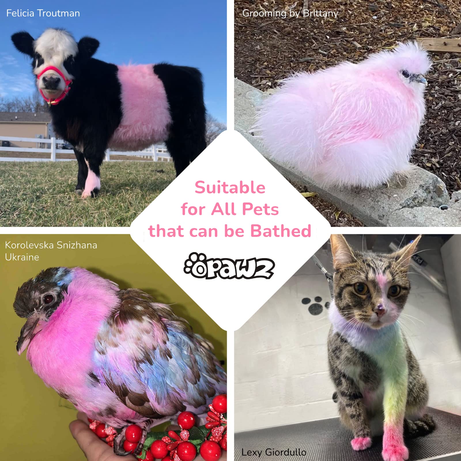 Opawz Color Depositing Shampoo For Dogs, Semi-Permanent Dog Hair Dye, Non-Toxic Colorwash (Blue, 16.94 Fl.Oz / 500Ml)