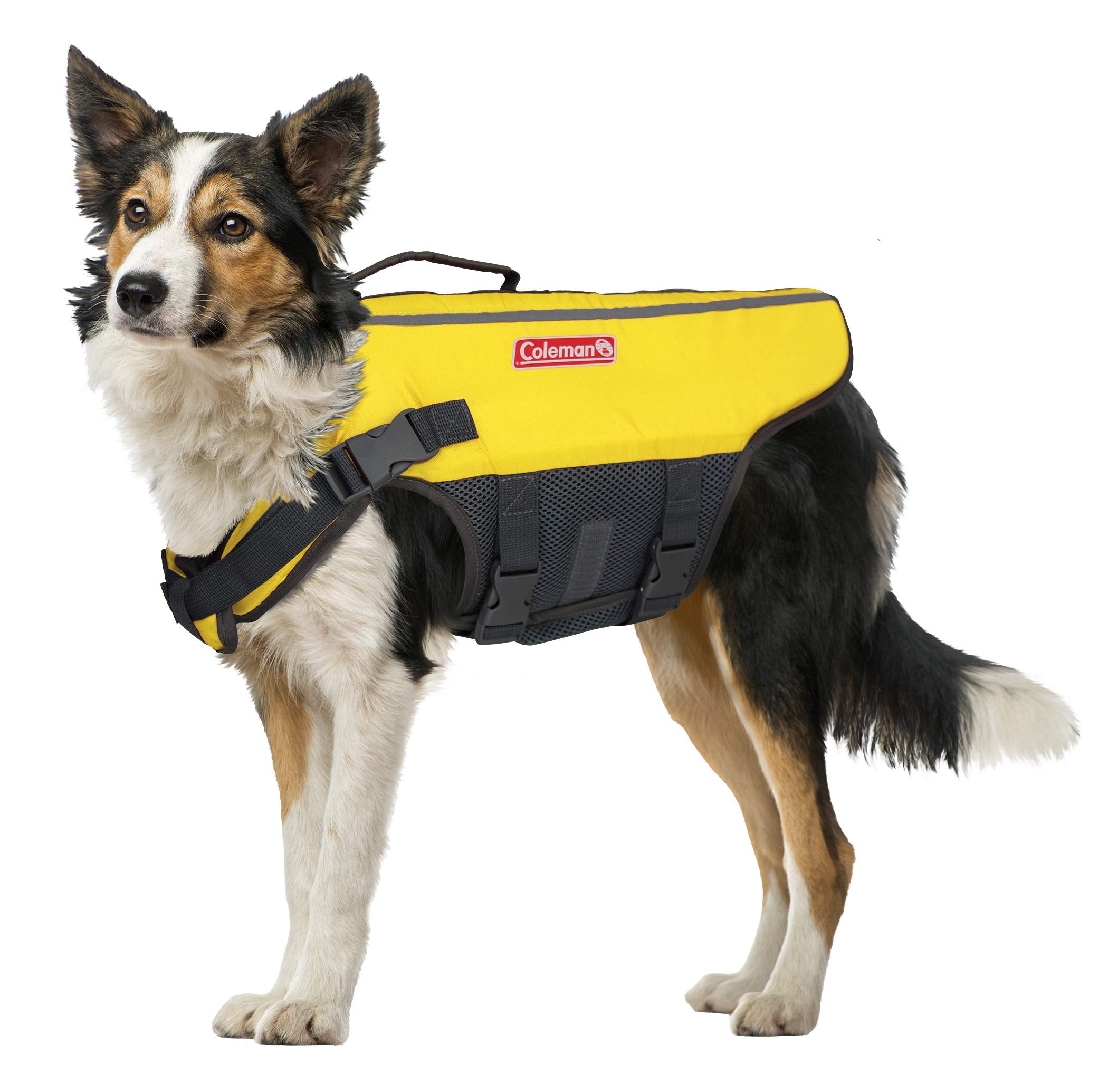 Coleman High Visibility Lifejacket for Small to Large Dogs, Yellow, Size Medium / 5'' x 16'' x 3'''