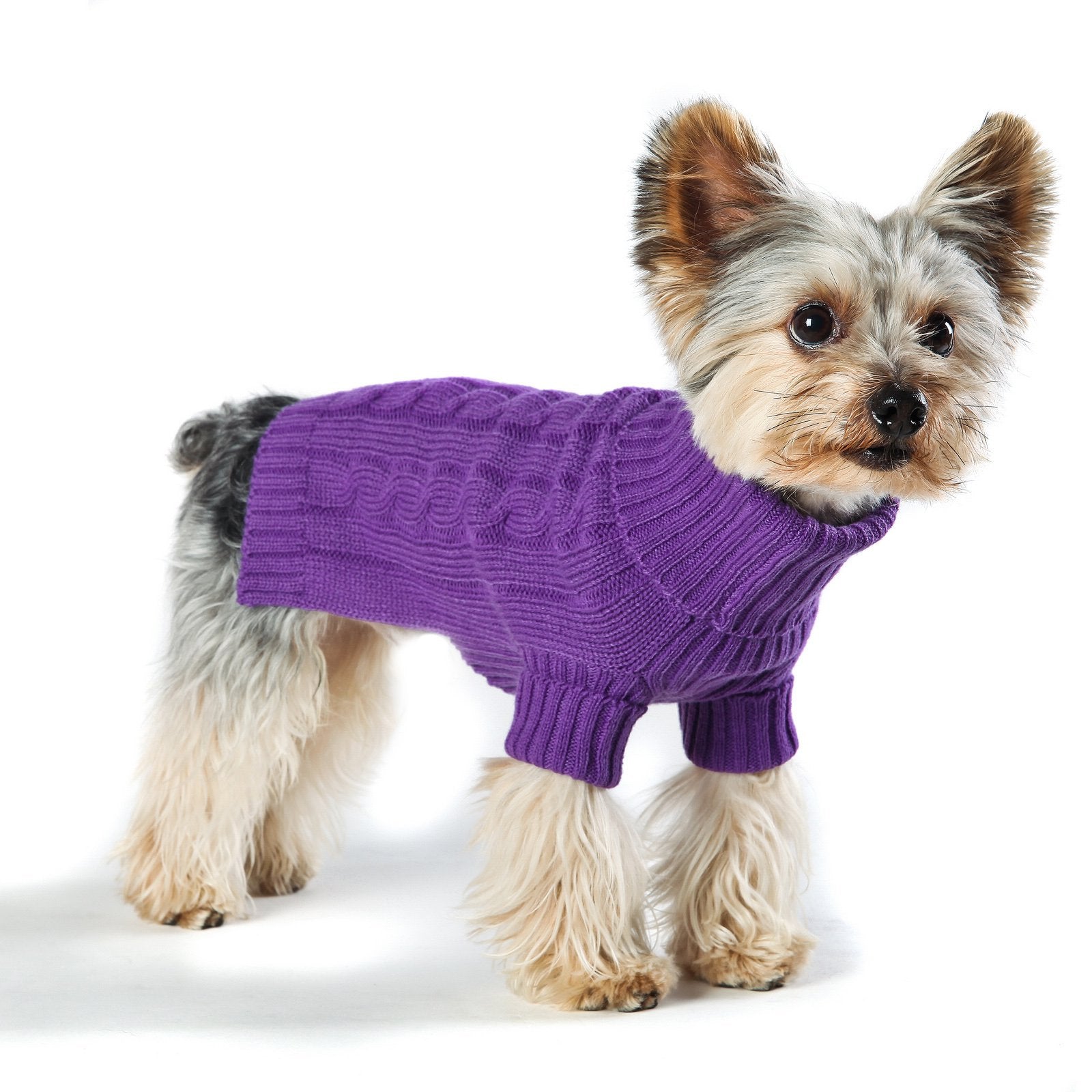Stinky G Dog Sweater Turtleneck Purple Size #14