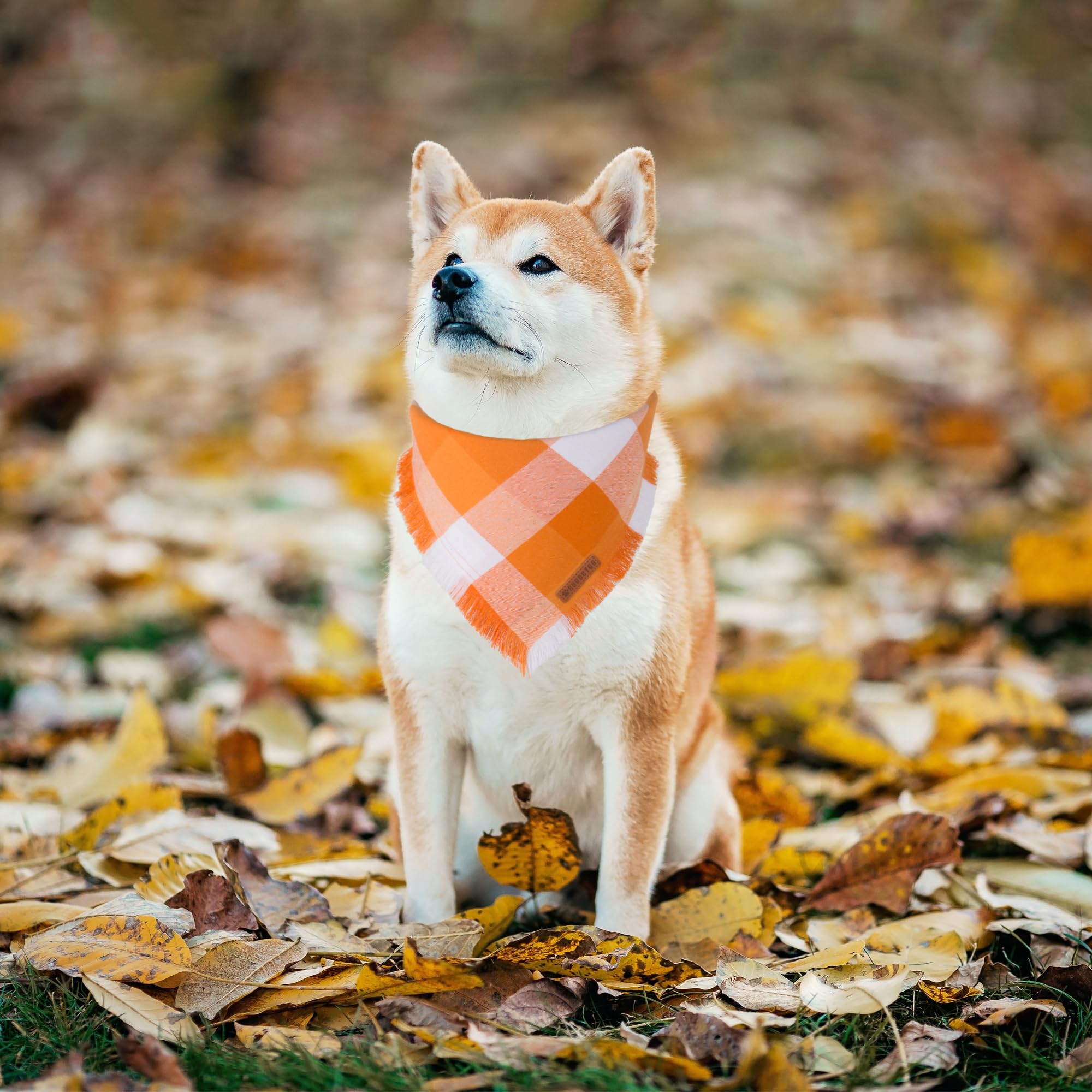 Adoggygo Fall Dog Bandanas, Halloween Thanksgiving Dog Bandana, Orange Plaid Dog Scarf, Multiple Sizes Offered, Fall Holiday Bandanas For Large And Extra Large Dogs Pets (Fall, X-Large)