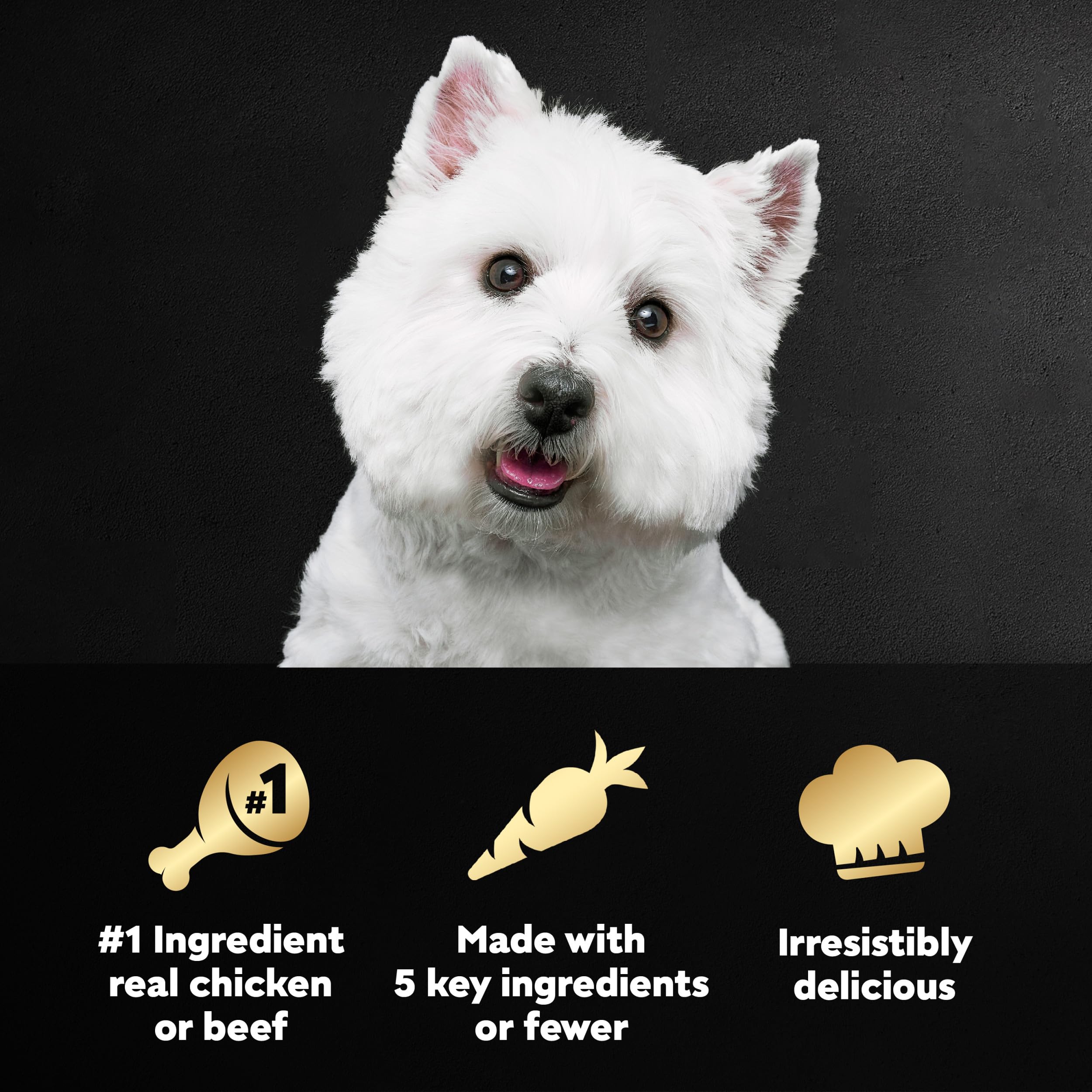 CESAR SIMPLY CRAFTED Adult Wet Dog Food Meal Topper, Chicken, Carrots & Green Beans and Beef, Chicken, Purple Potatoes, Peas & C