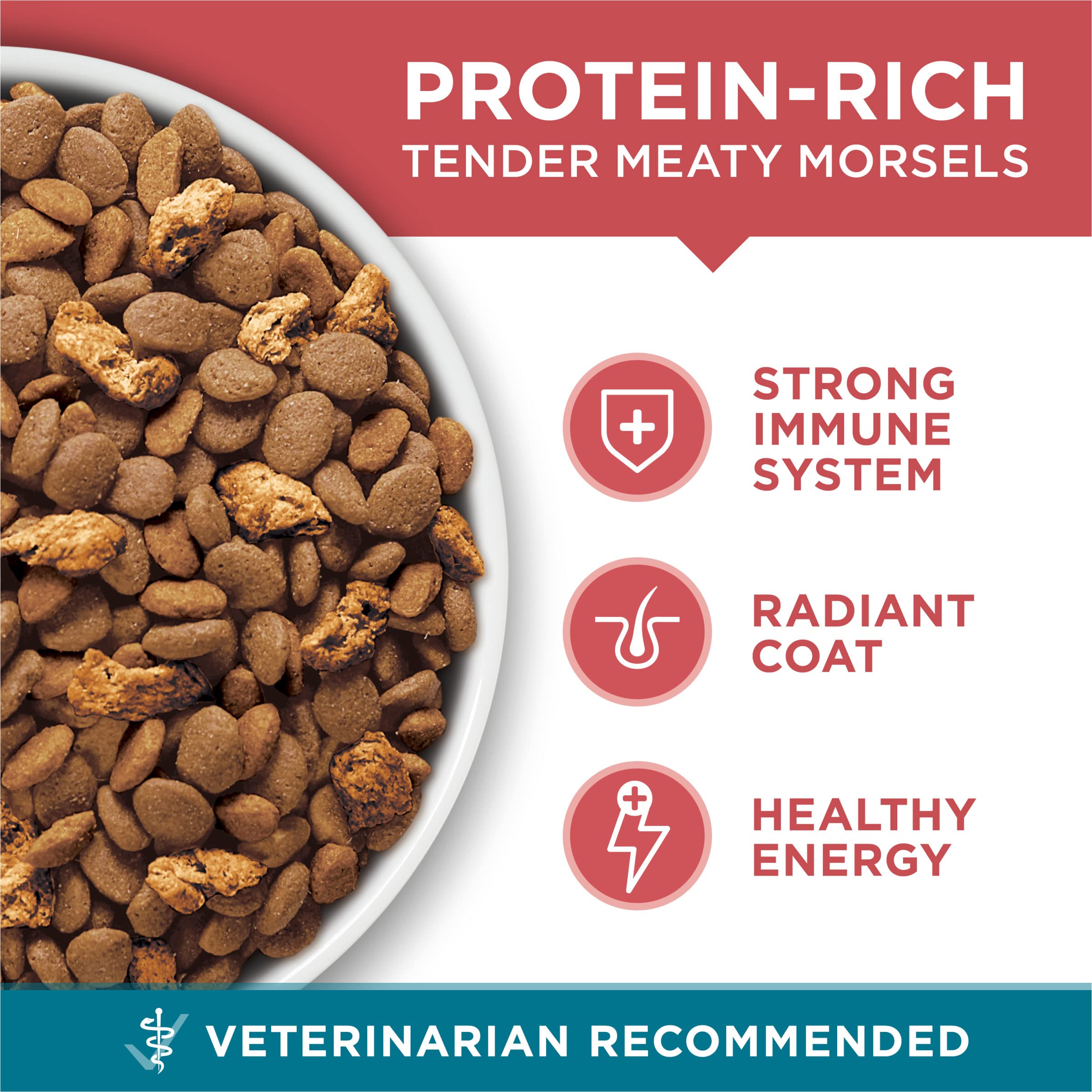 Purina ONE Natural Dry Cat Food, Tender Selects Blend with Real Salmon - 22 lb. Bag