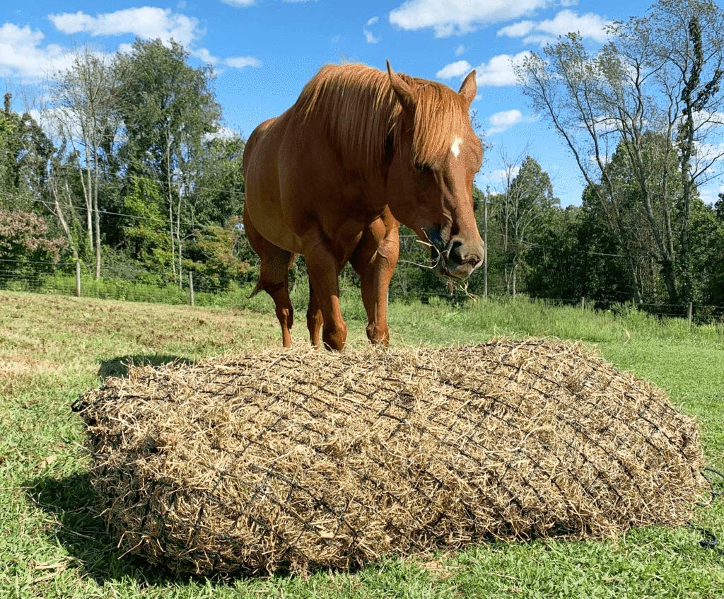Derby Originals 90' X-Large Slow Feed Hay Bale Net Holds 1-2 Full Bales Of Hay For Horses And Goats