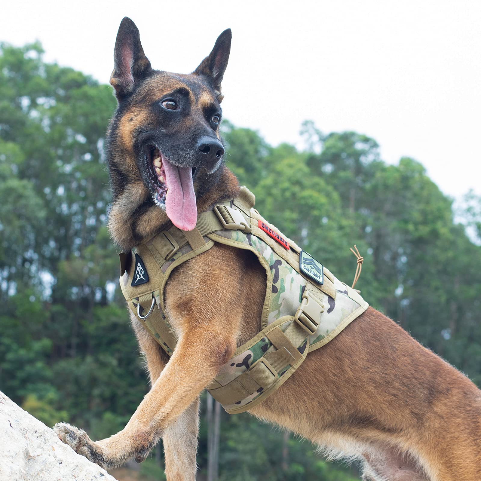 Tactical Dog Harness Vest with Handle, Military Dog Harness for Large Medium Dogs,No-Pull Service Dog Vest with Hook & Loop Pane