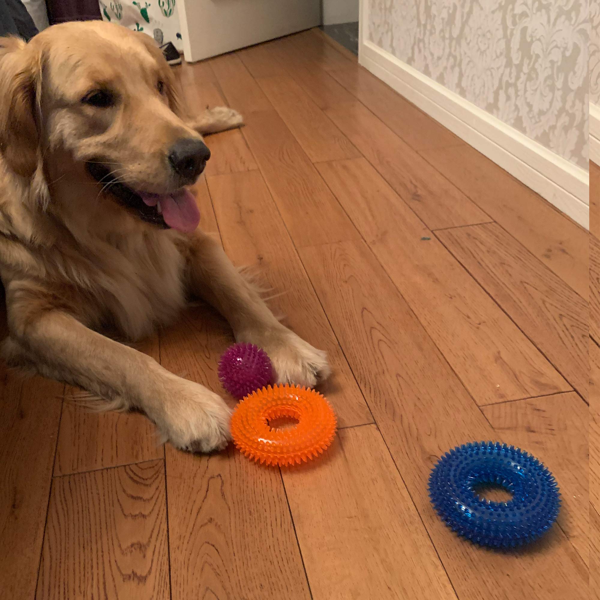 6 PACK - Dog Squeaky Toys 2.6'' Value Set Non-Toxic Dog Squeaky Balls Toss Fetch Toys for Dogs TPR Rubber Puppy Toys Spikey Dog