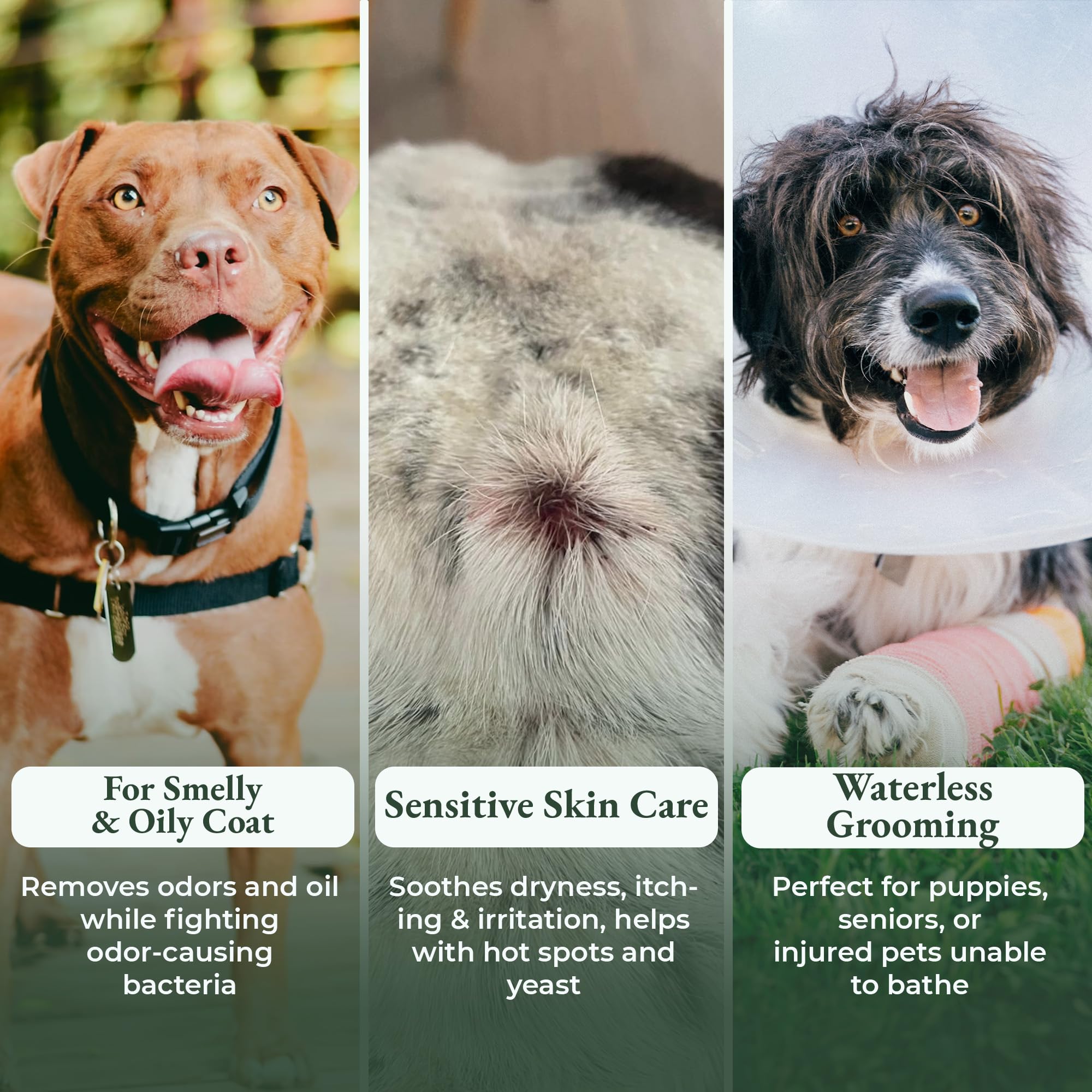 Dry Shampoo For Dogs - Itchy Skin & Hot Spot Relief, Yeast Infection & Paw Licking Treatment, Antifungal Dog Powder With Allergy